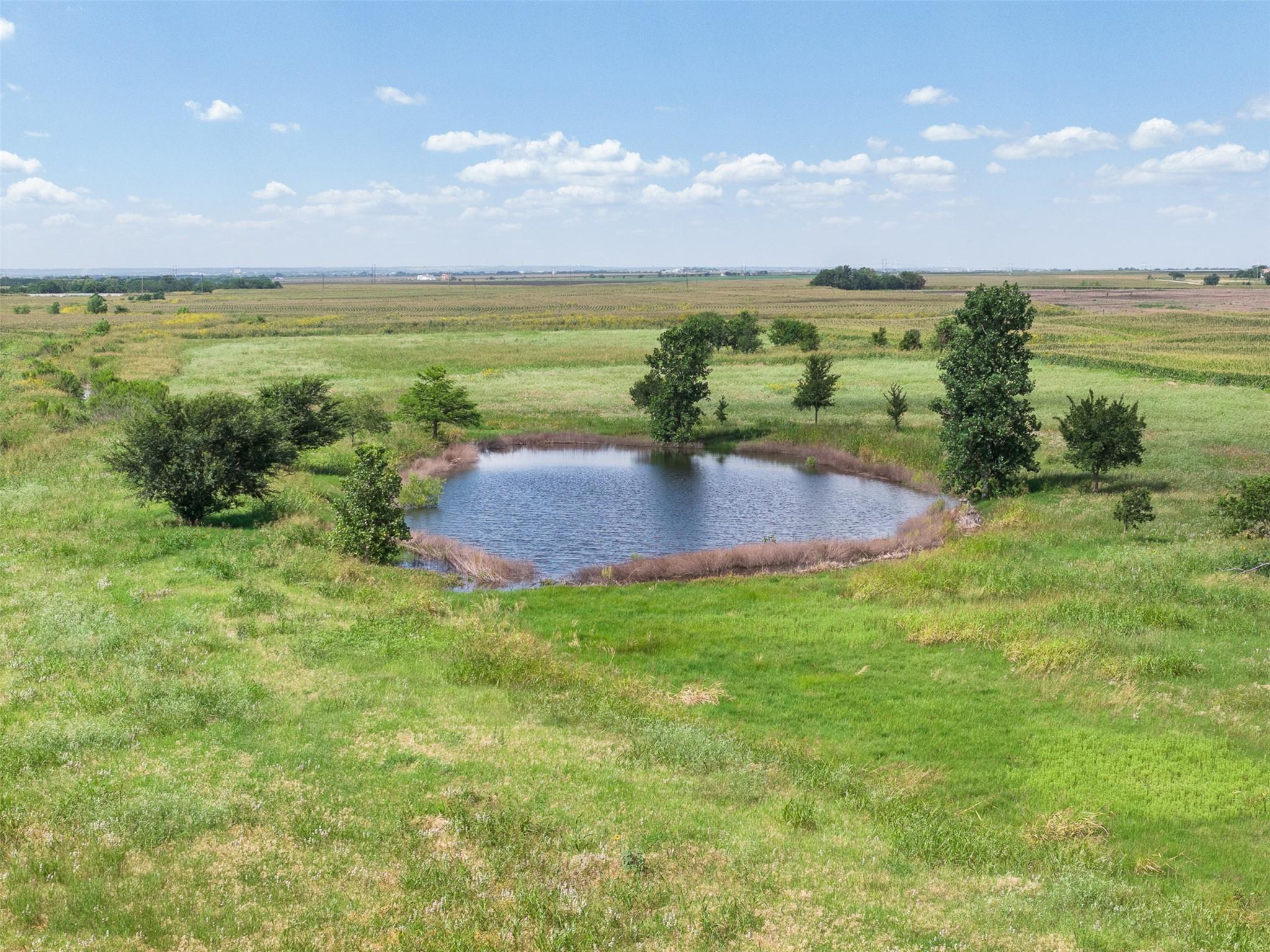 18108 Werchan LN, Coupland, TX 78615 photo 3