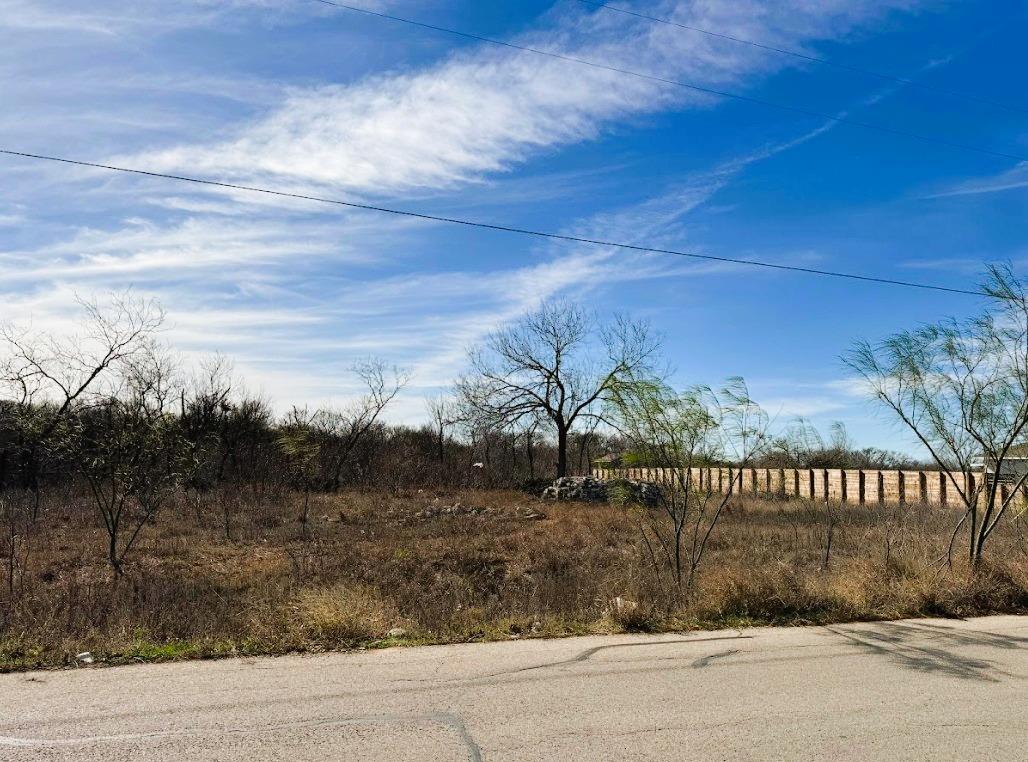 133 Blushing DR, Cedar Creek, TX 78612 photo 4