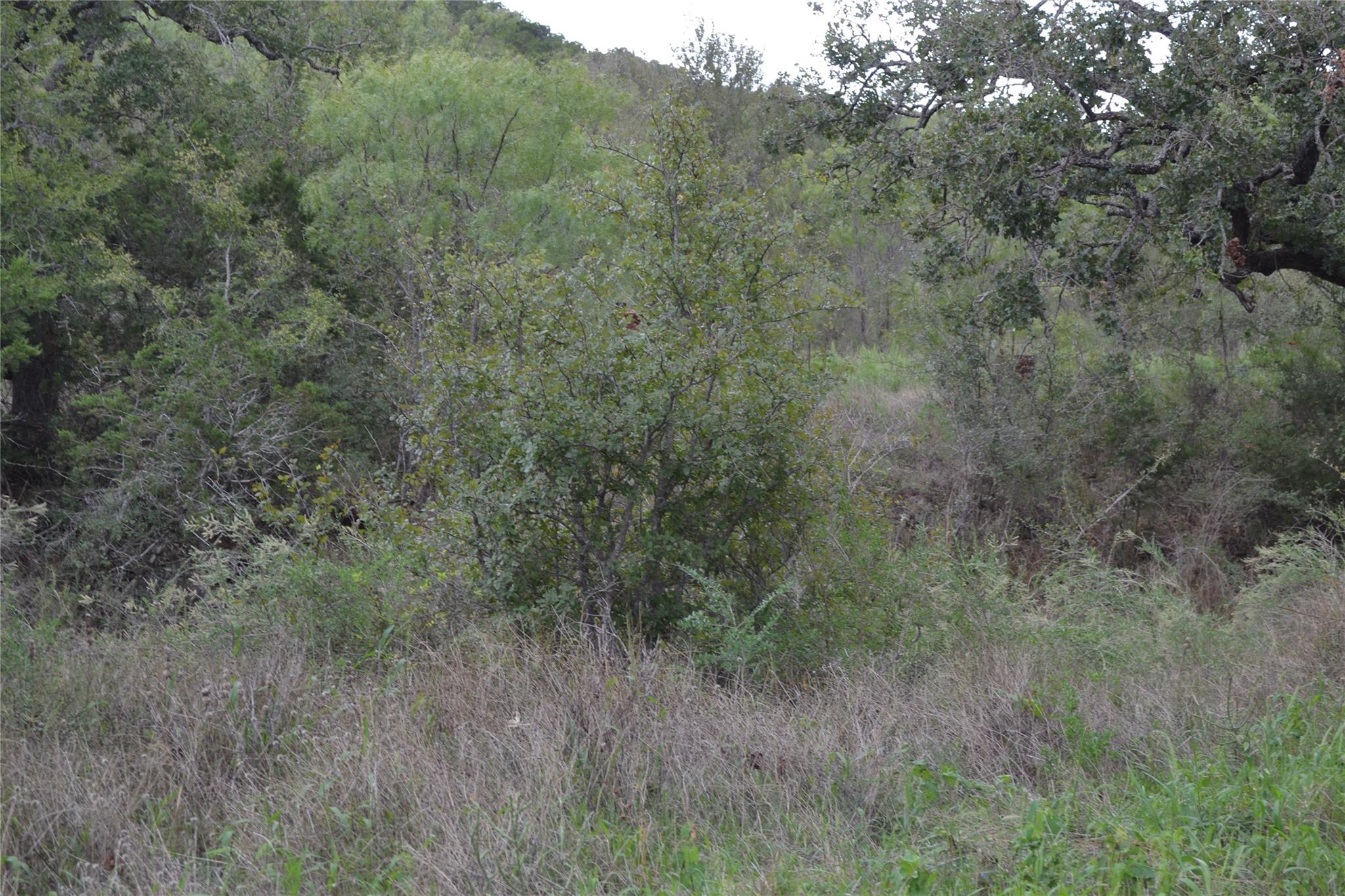 0 Ranch Road 2241, Tow, TX 78672 photo 4