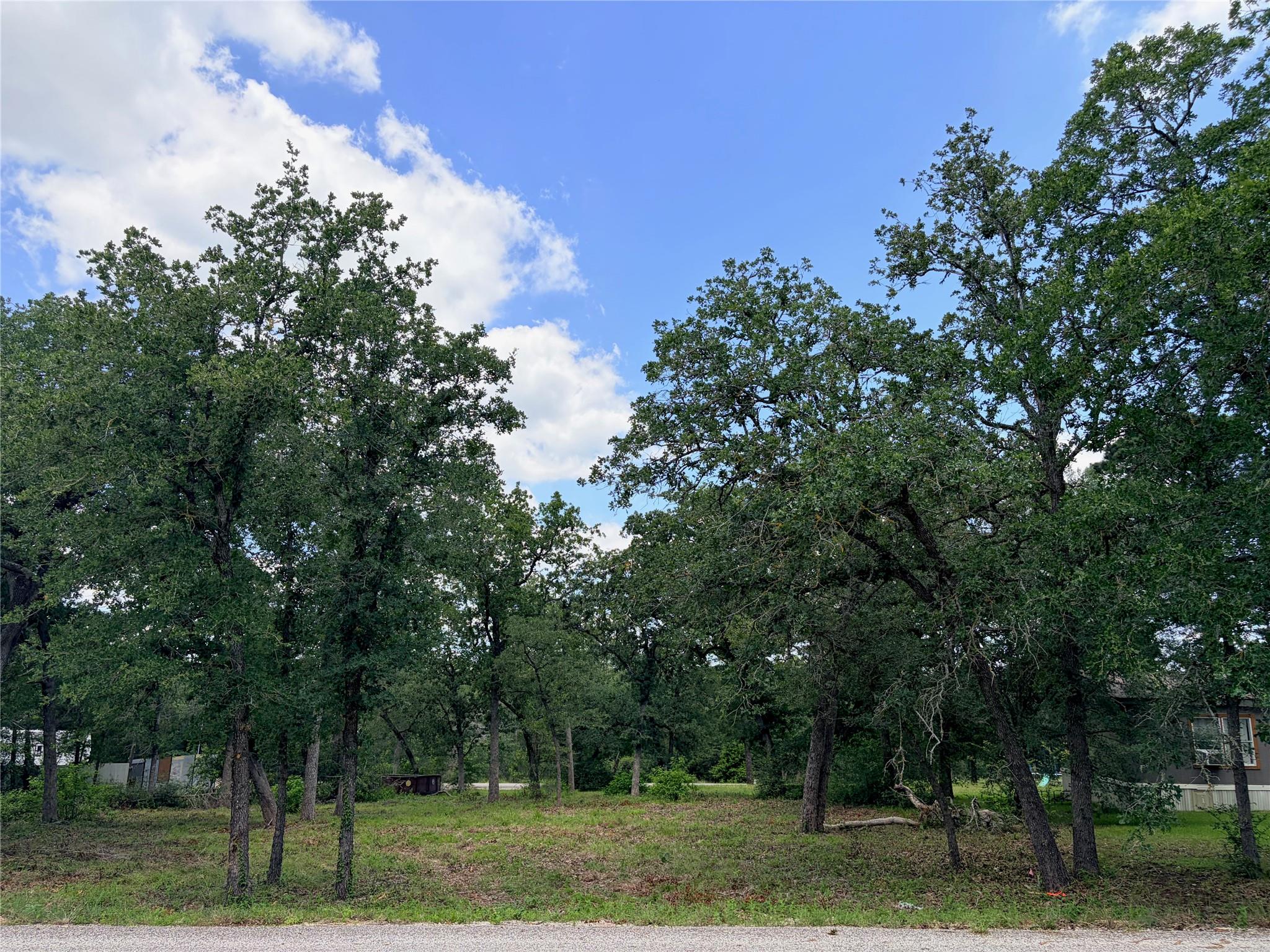 000 Shawnee/Arapaho/Mohawk DRS, Smithville, TX 78957 photo 3