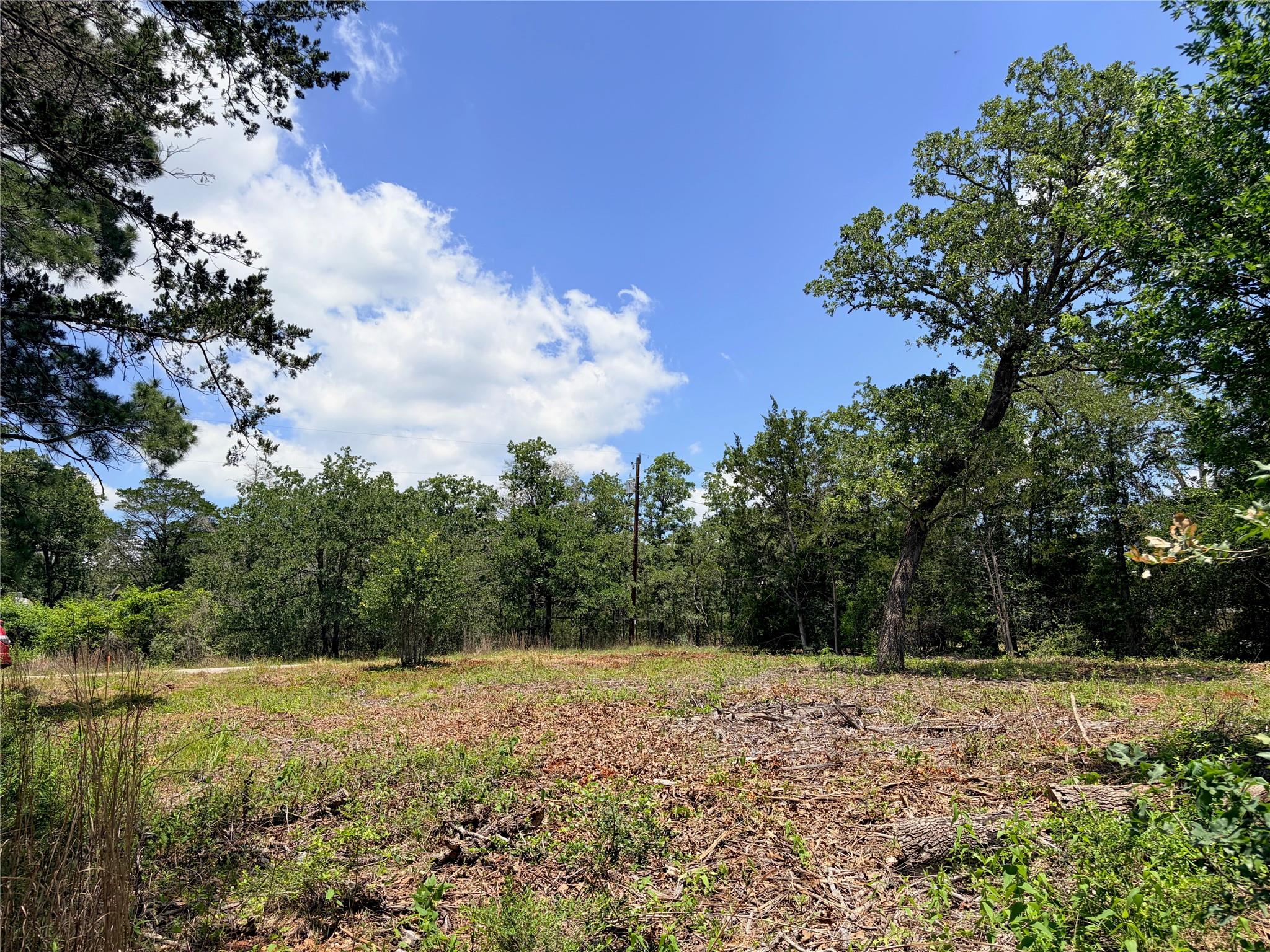 000 Shawnee/Arapaho/Mohawk DRS, Smithville, TX 78957 photo 4