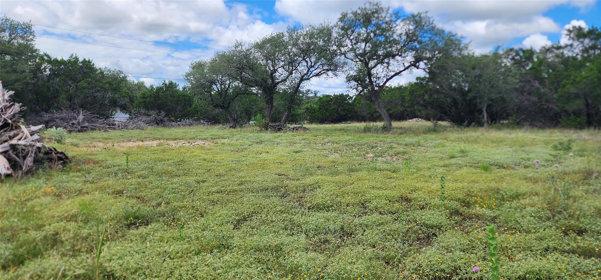 1285 Cedar LAKE, Spring Branch, TX 78070 photo 3