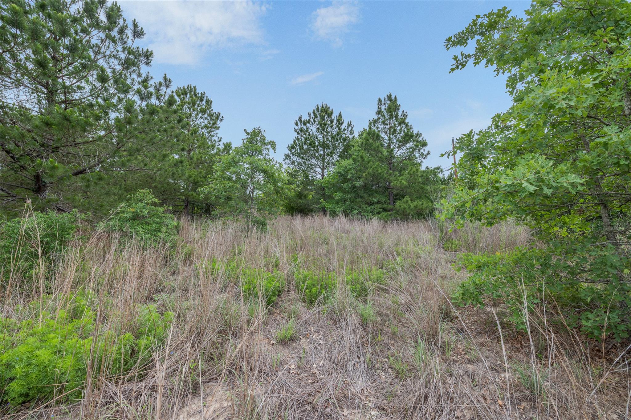 TBD Lot 20c County RD, Bastrop, TX 78602 photo 2