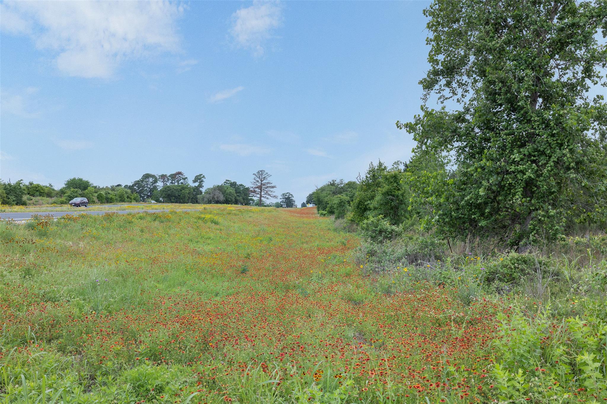 TBD Lot 20c County RD, Bastrop, TX 78602 photo 3