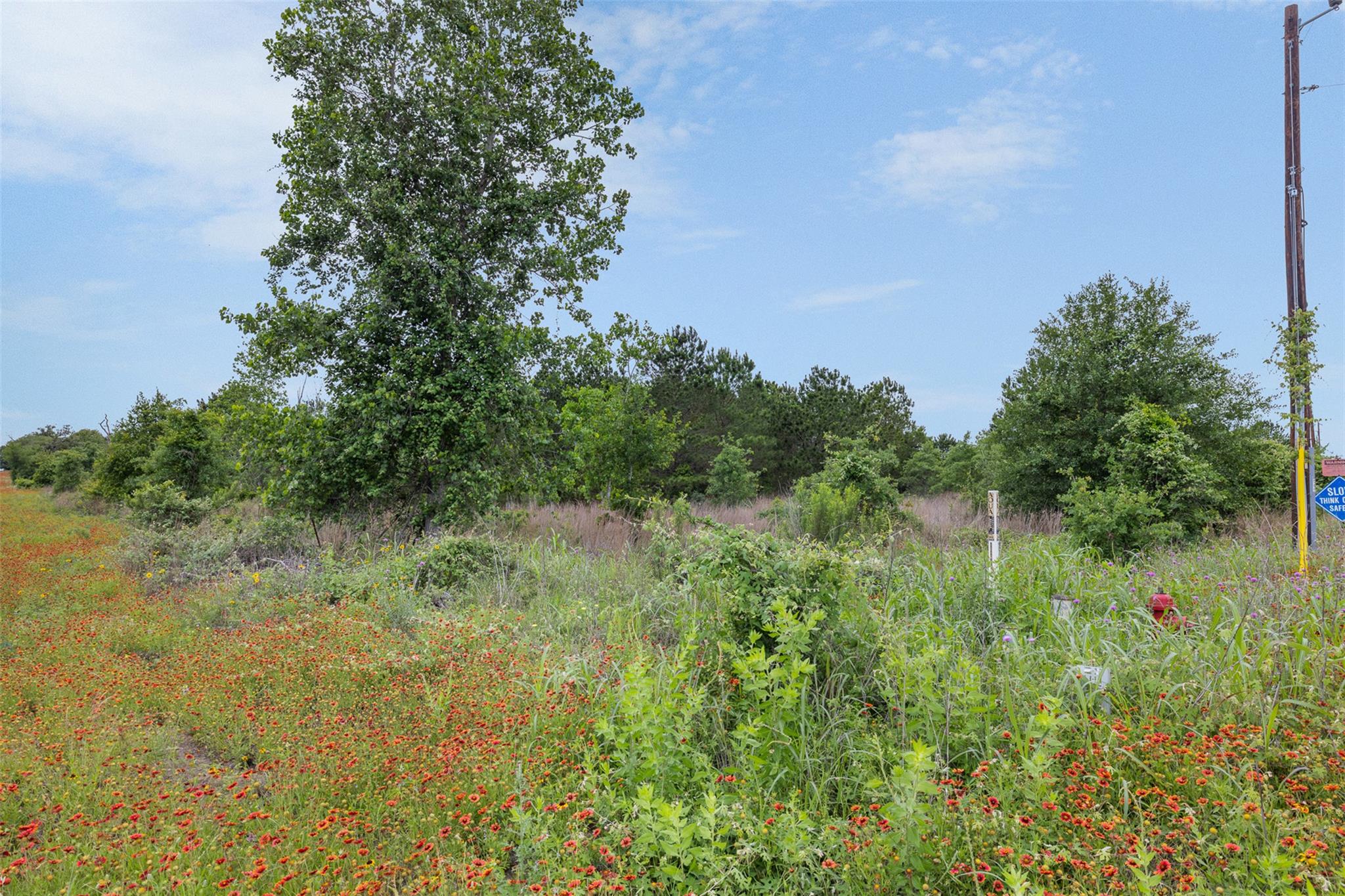 TBD Lot 20c County RD, Bastrop, TX 78602 photo 5