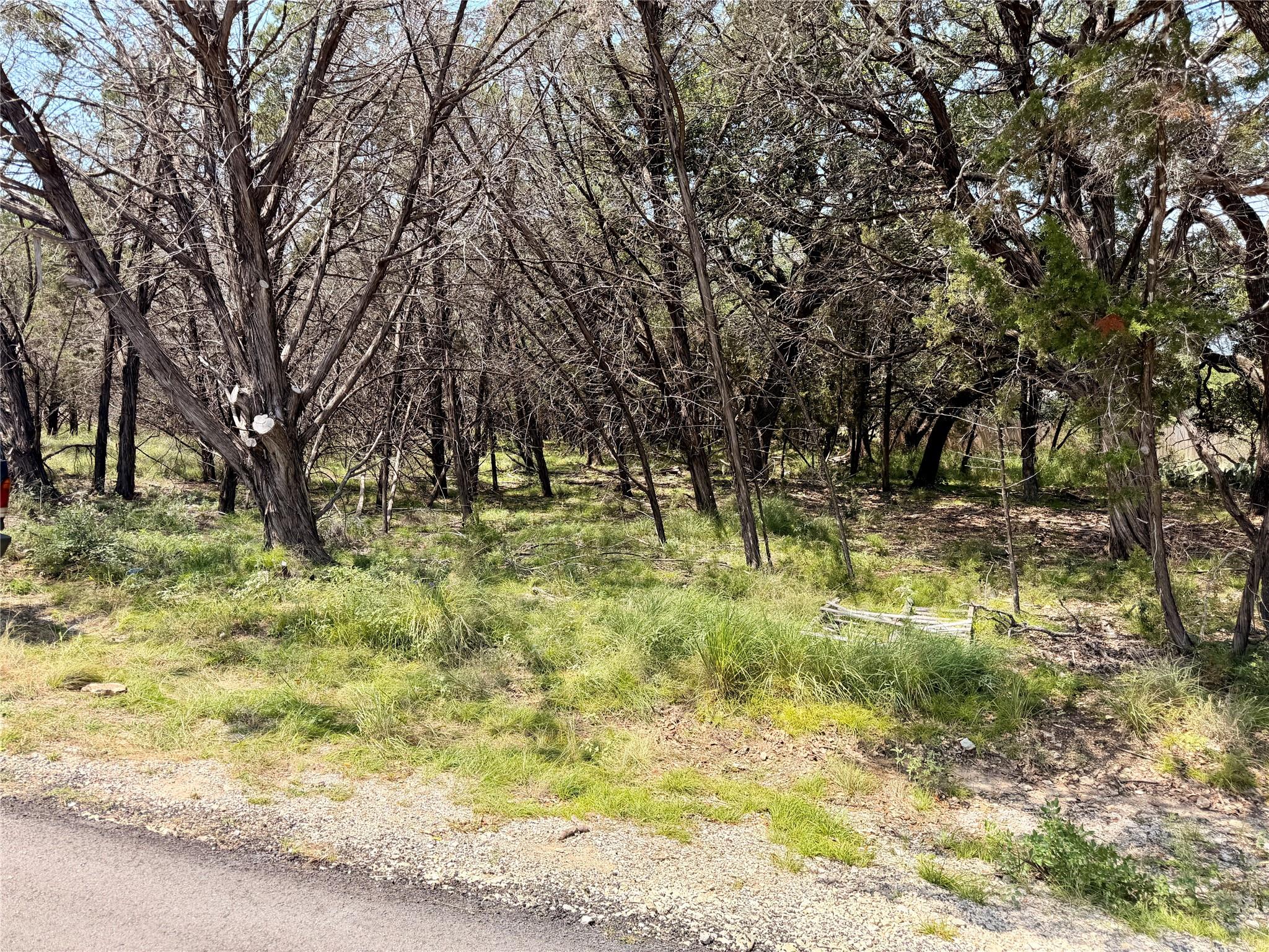 21807 O'Henry Ave, Lago Vista, TX 78645 photo 2