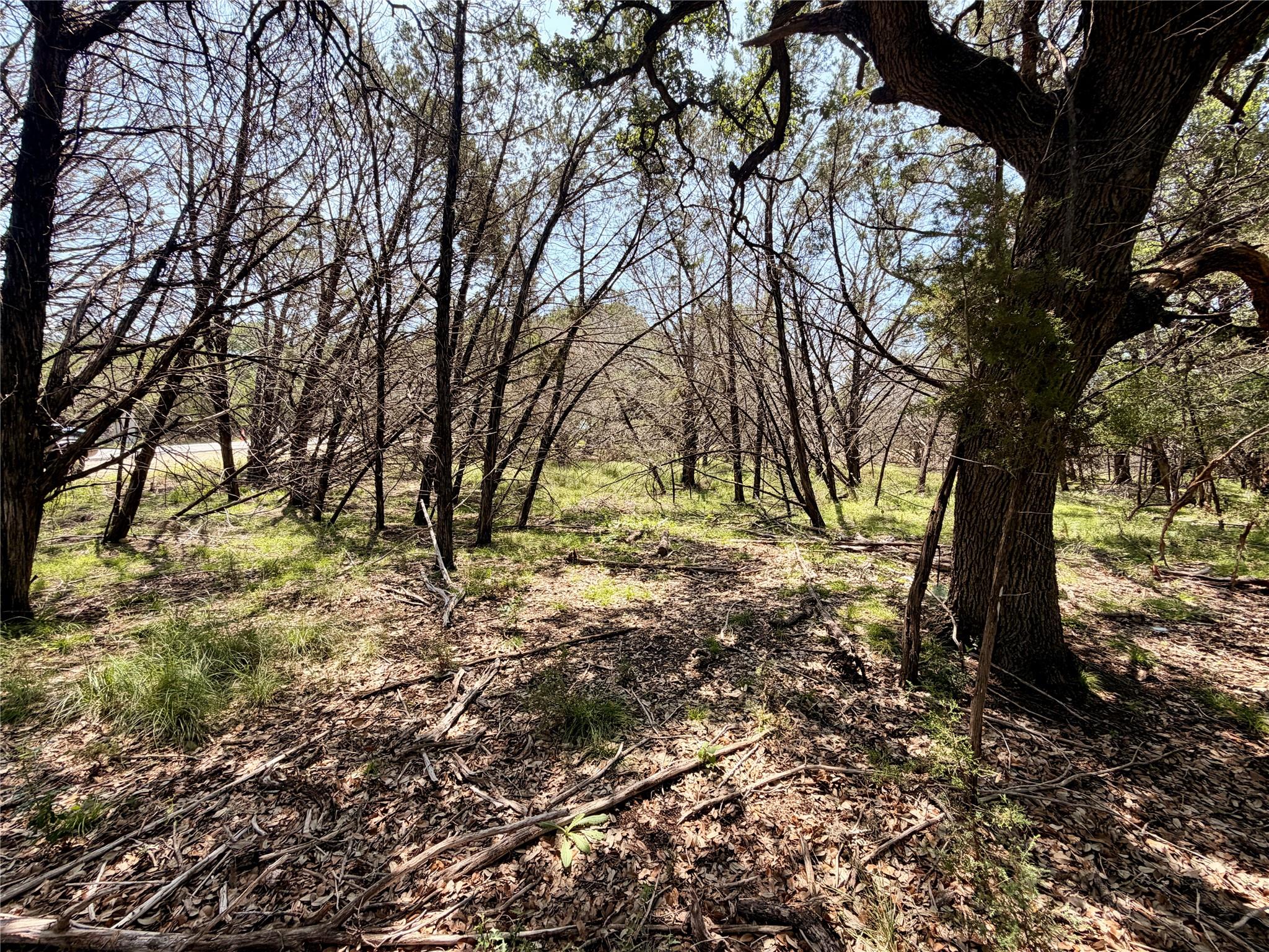 21807 O'Henry Ave, Lago Vista, TX 78645 photo 3
