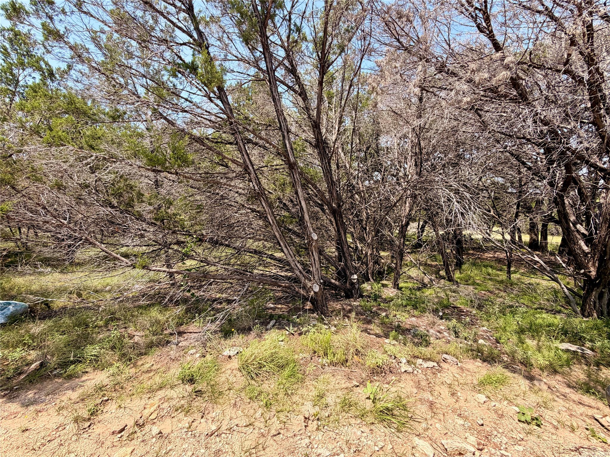 21807 O'Henry Ave, Lago Vista, TX 78645 photo 5