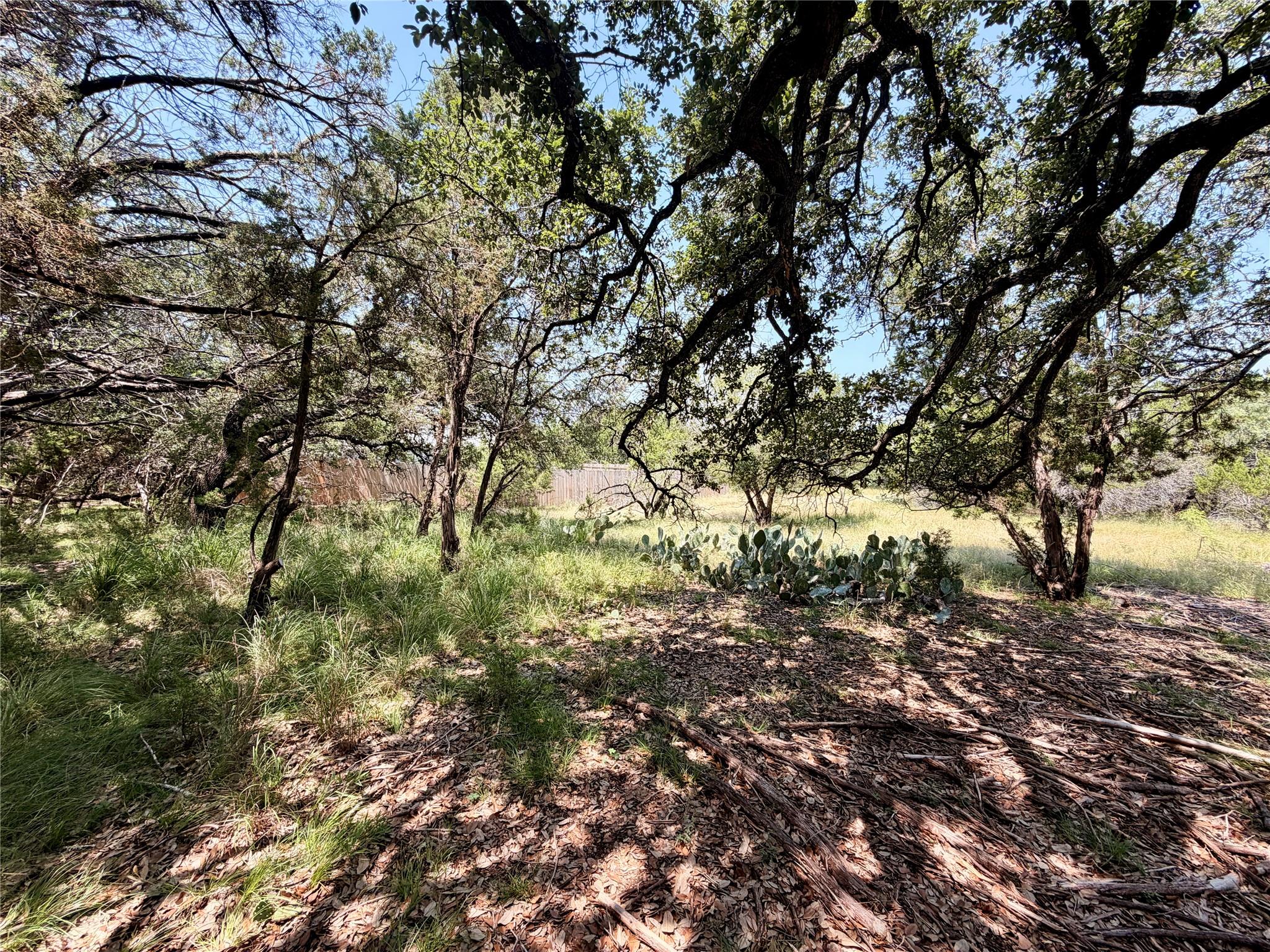 21807 O'Henry Ave, Lago Vista, TX 78645 photo 4