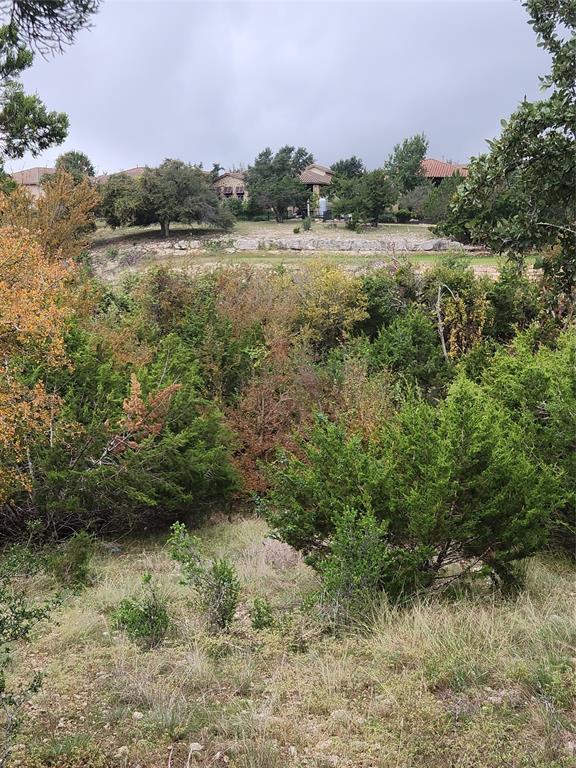 2301 Ambush CYN, Leander, TX 78641 photo 2
