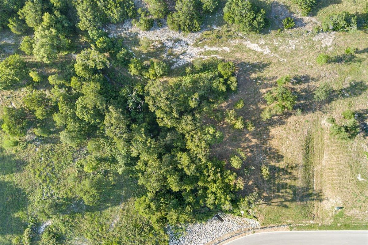 10132 Blanco Springs RD, Temple, TX 76557 photo 4