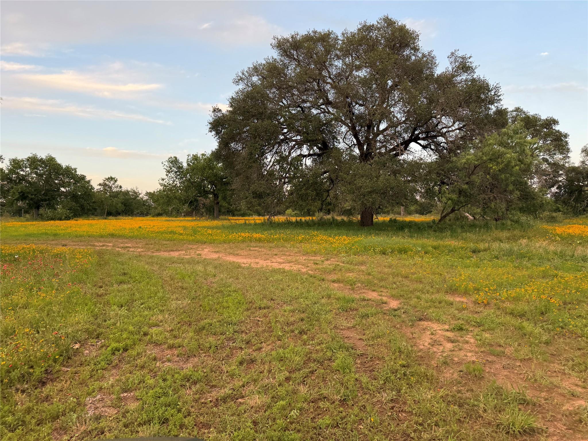 TBD FM 1980 tract 1, Marble Falls, TX 78654 photo 3