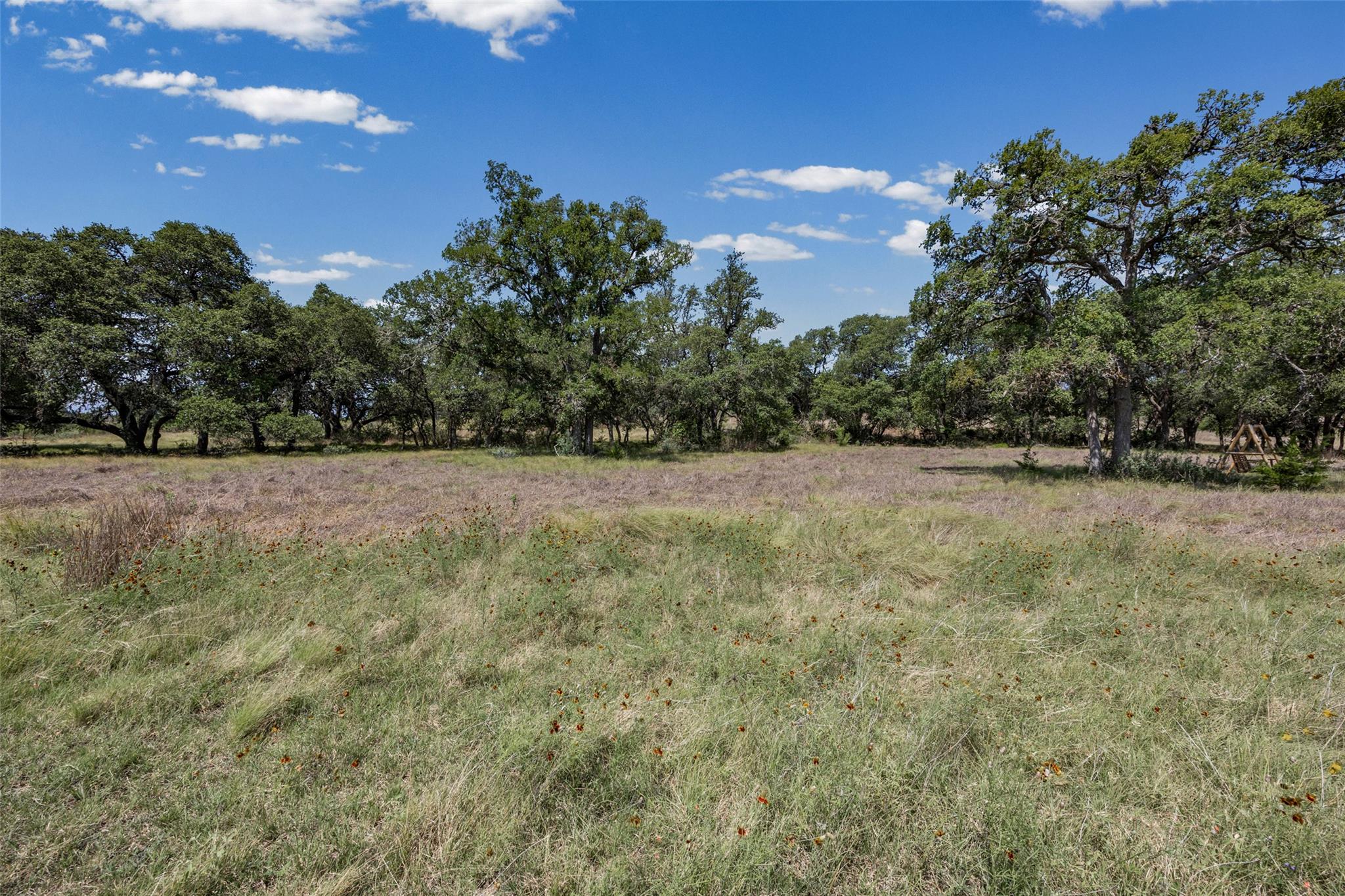 1364 N Walnut Springs DR, Johnson City, TX 78636 photo 5