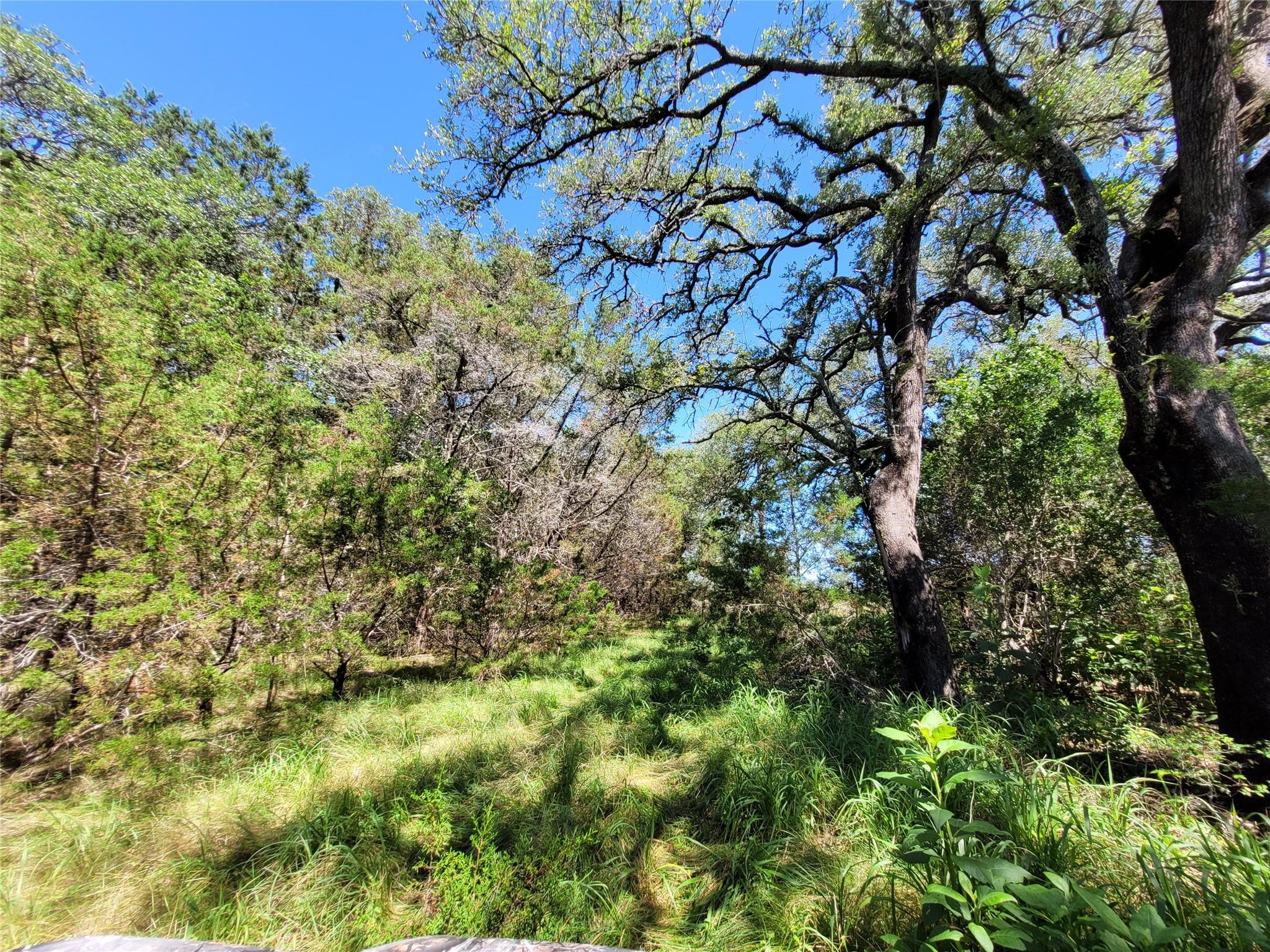 TBD CR 1139 575 Acres, Lampasas, TX 76550 photo 2