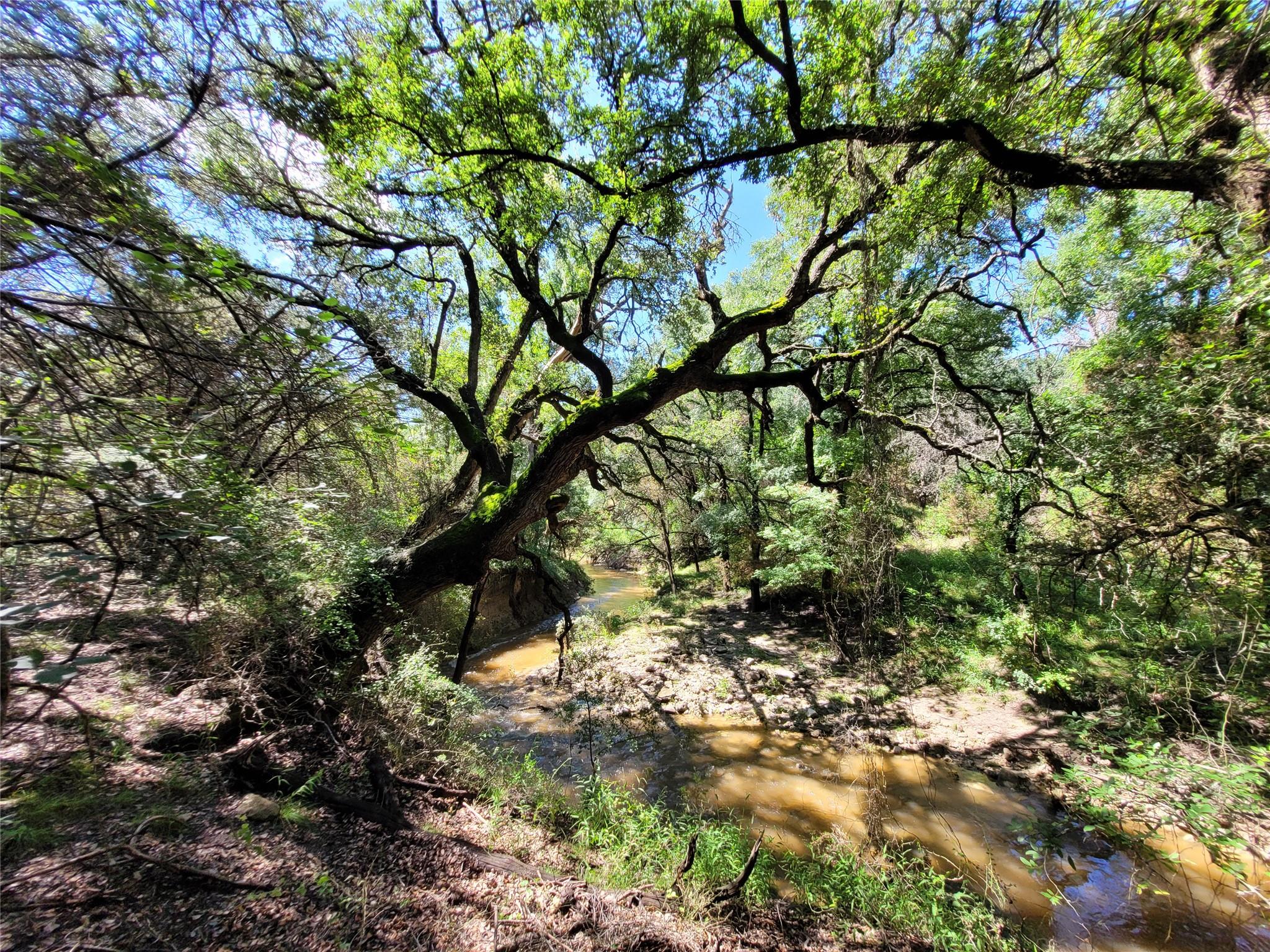 TBD CR 1139 575 Acres, Lampasas, TX 76550 photo 3