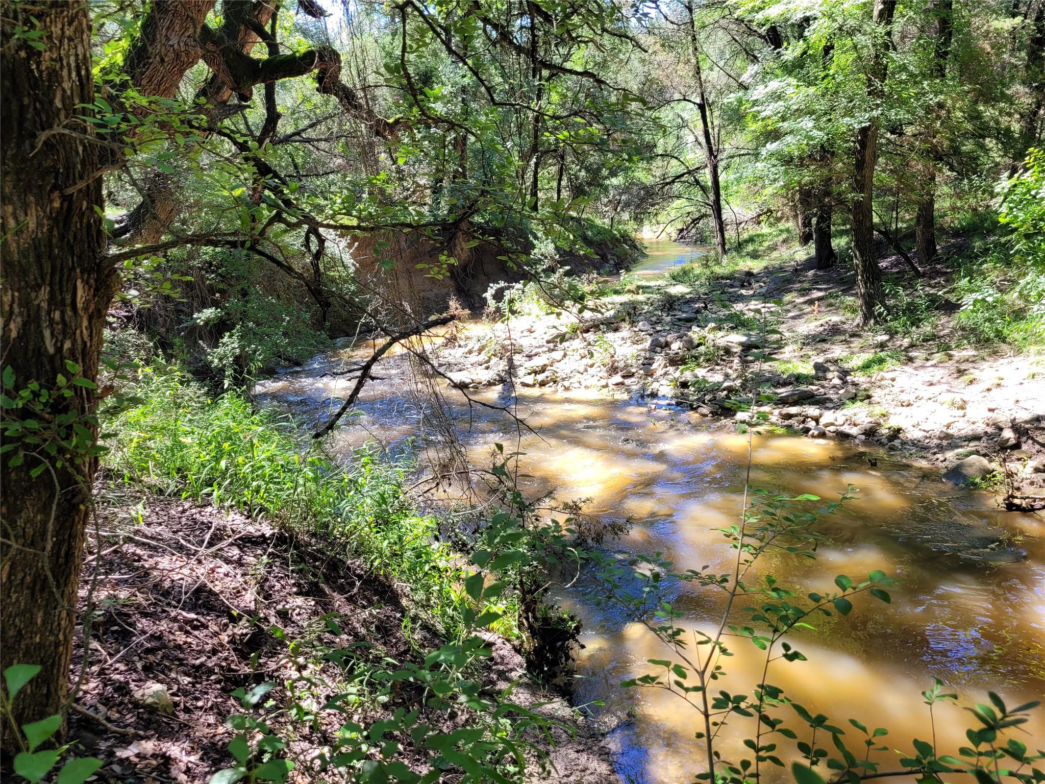 TBD CR 1139 575 Acres, Lampasas, TX 76550 photo 5