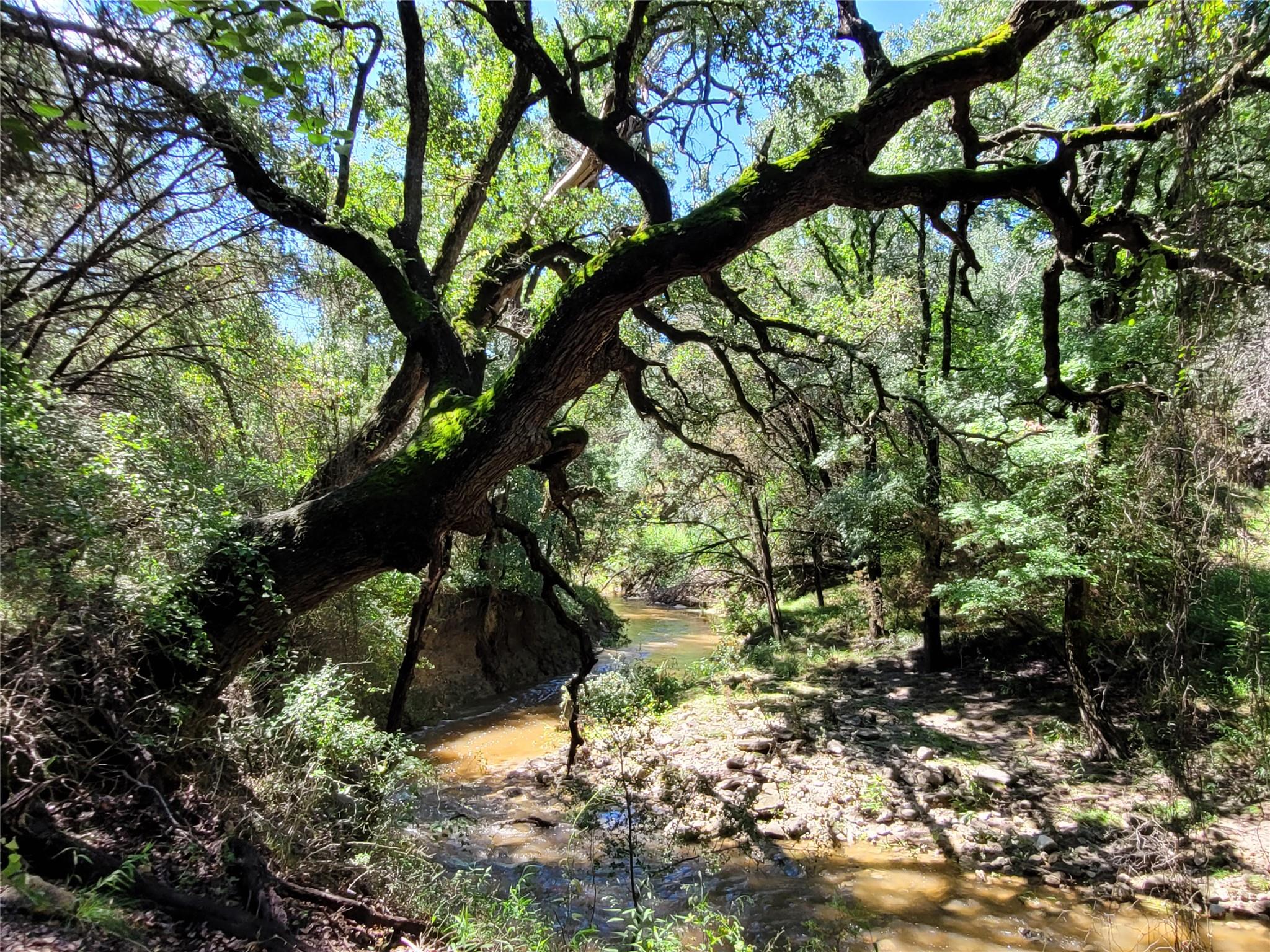 TBD CR 1139 575 Acres, Lampasas, TX 76550 photo 4