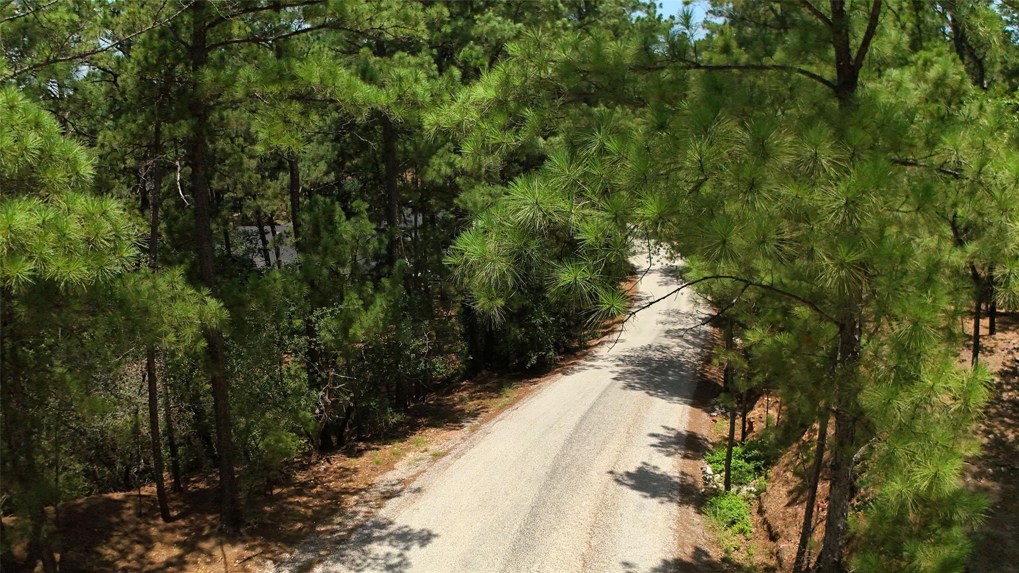 Lot 232 Hekili DR, Bastrop, TX 78602 photo 2