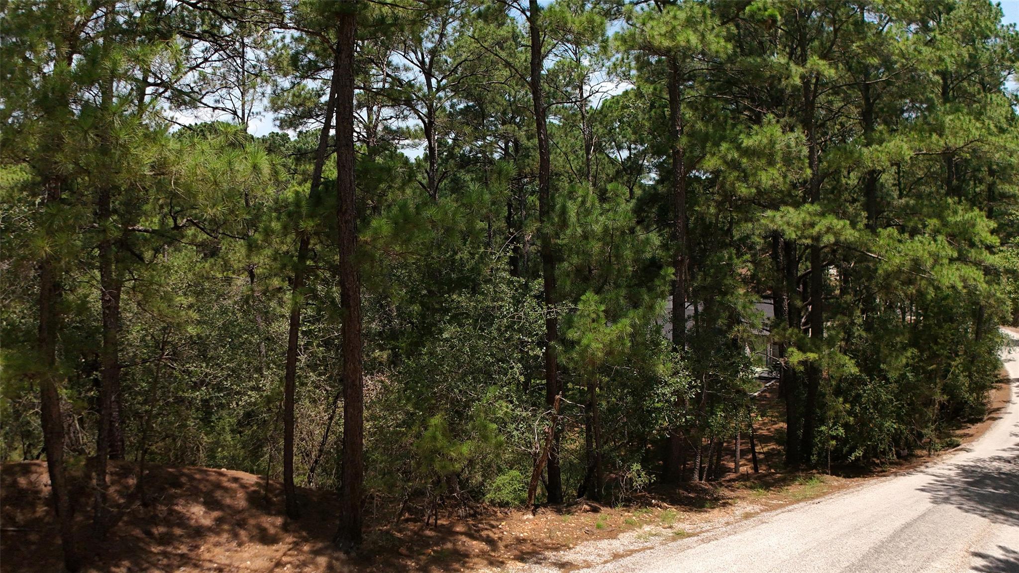 Lot 232 Hekili DR, Bastrop, TX 78602 photo 3