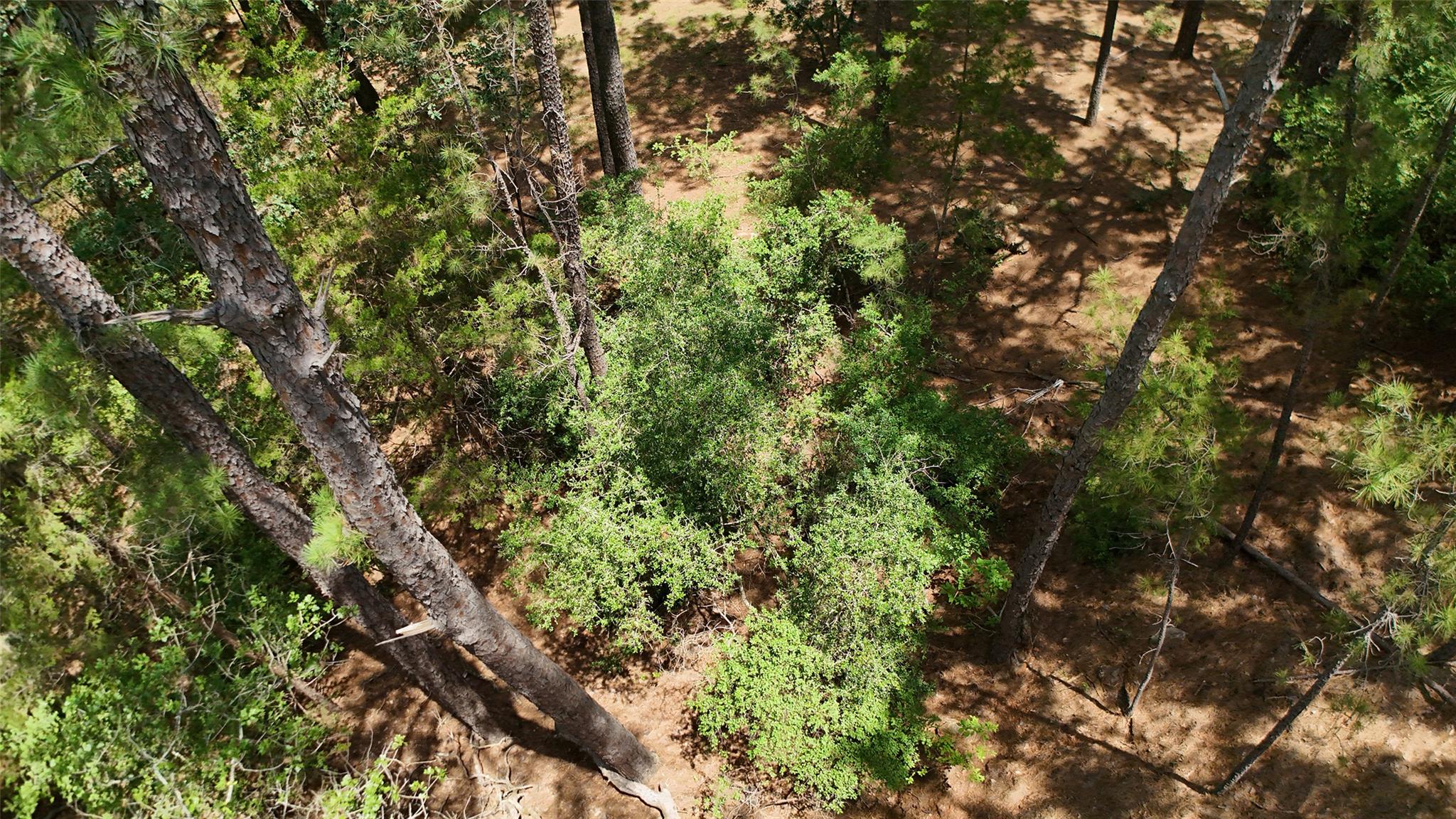 Lot 232 Hekili DR, Bastrop, TX 78602 photo 5