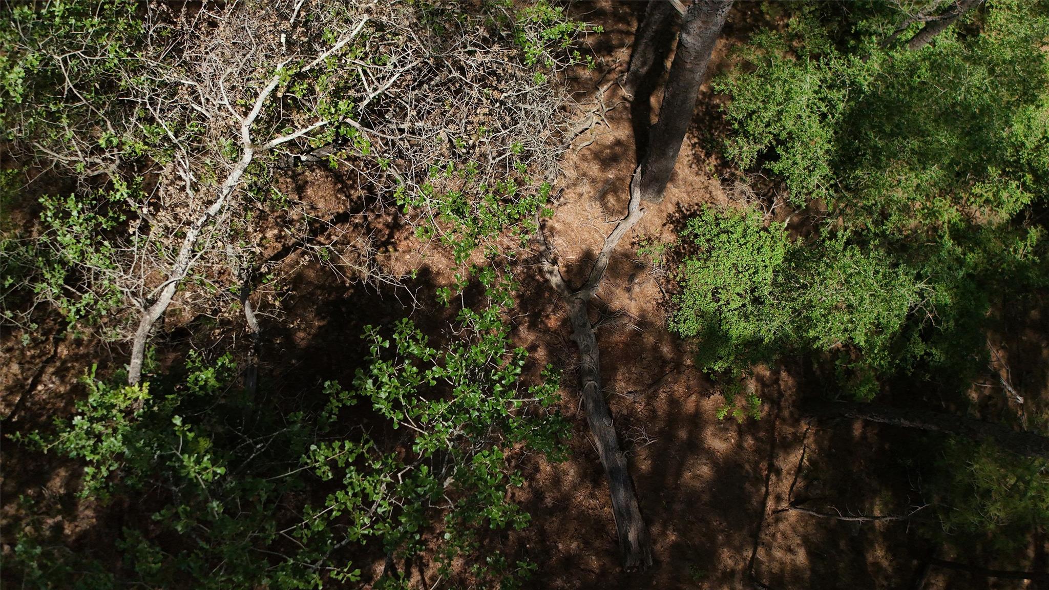Lot 232 Hekili DR, Bastrop, TX 78602 photo 4