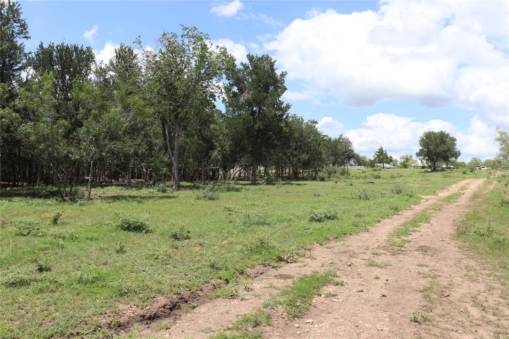 1220 Brushy Branch RD, Lockhart, TX 78644 photo 4