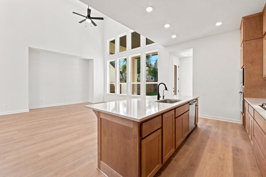117 Wild Lily TRL, Georgetown, TX 78628 photo 4