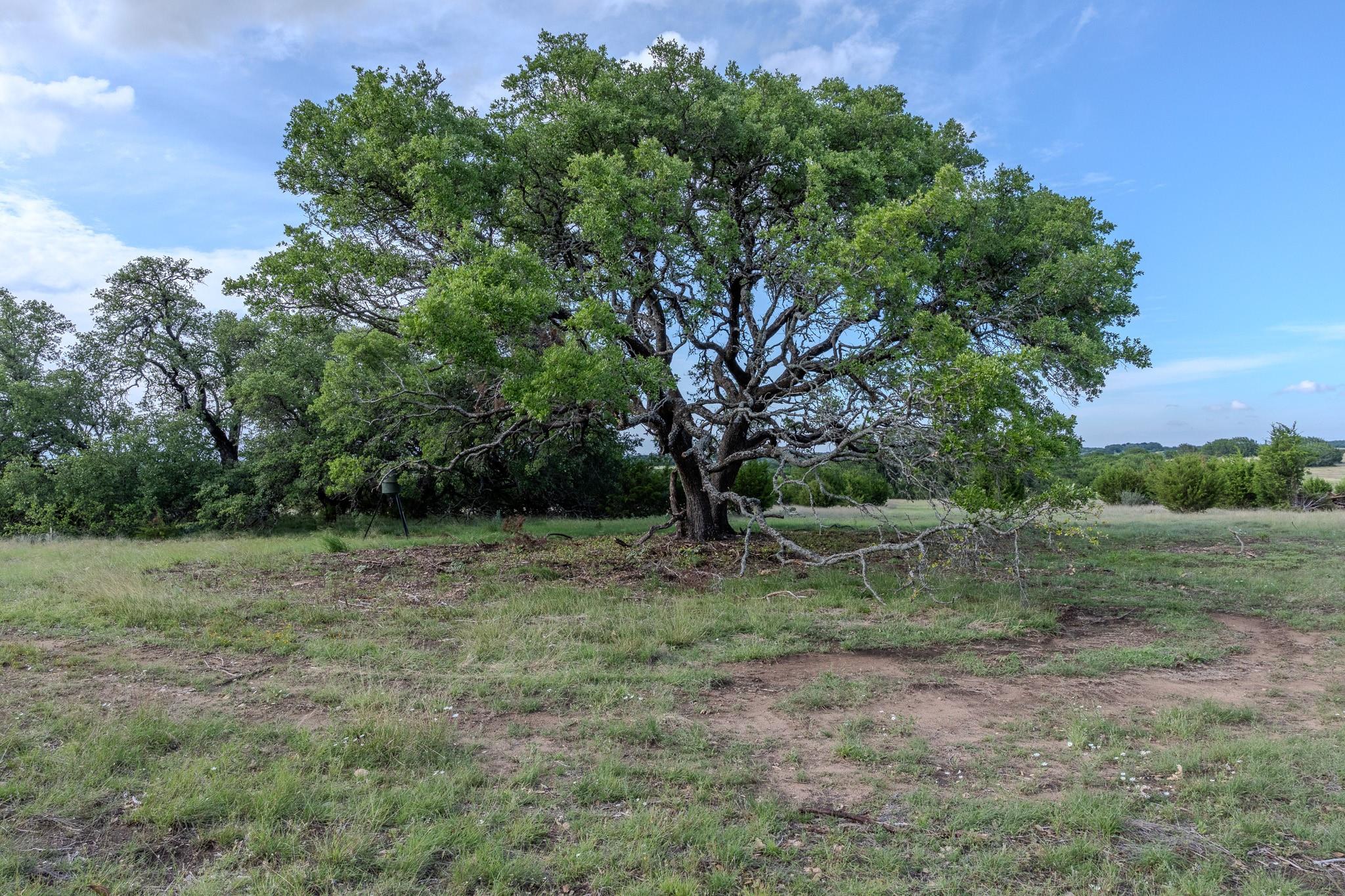 Lot 3 Bluestem LN, Lampasas, TX 76550 photo 5