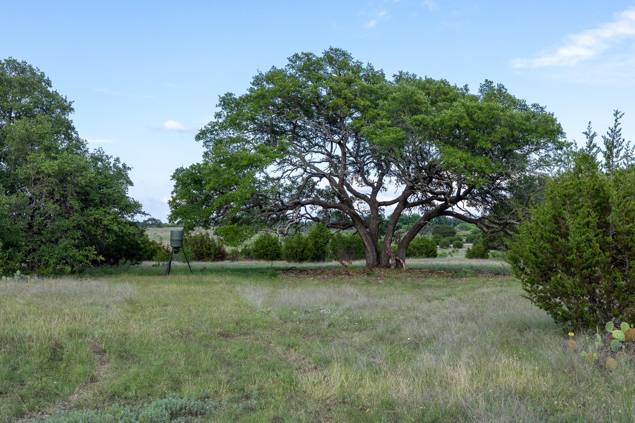 Lot 3 Bluestem LN, Lampasas, TX 76550 photo 4