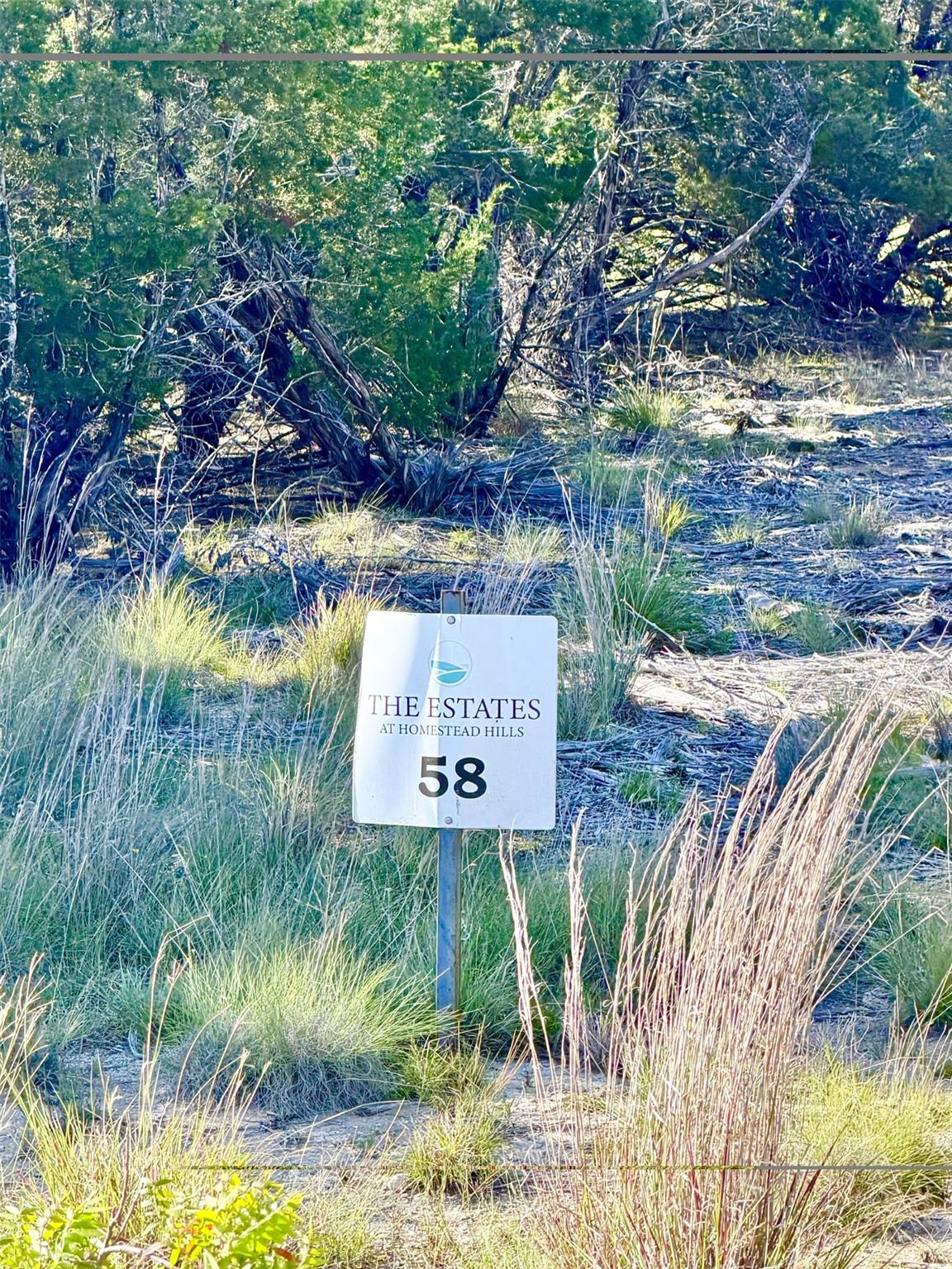 122 Reserve WAY, Lampasas, TX 76550 photo 2