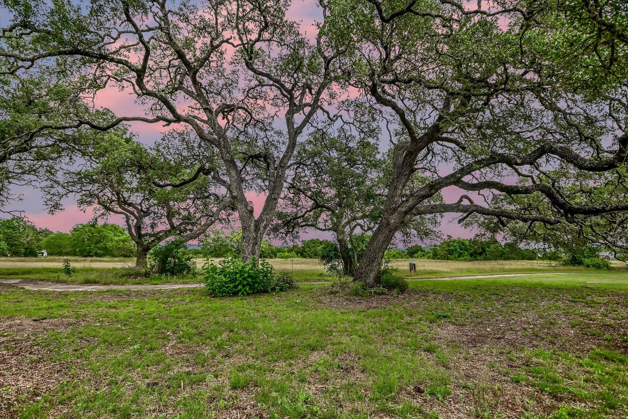 13 PEACE PIPE, Wimberley, TX 78676 photo 2