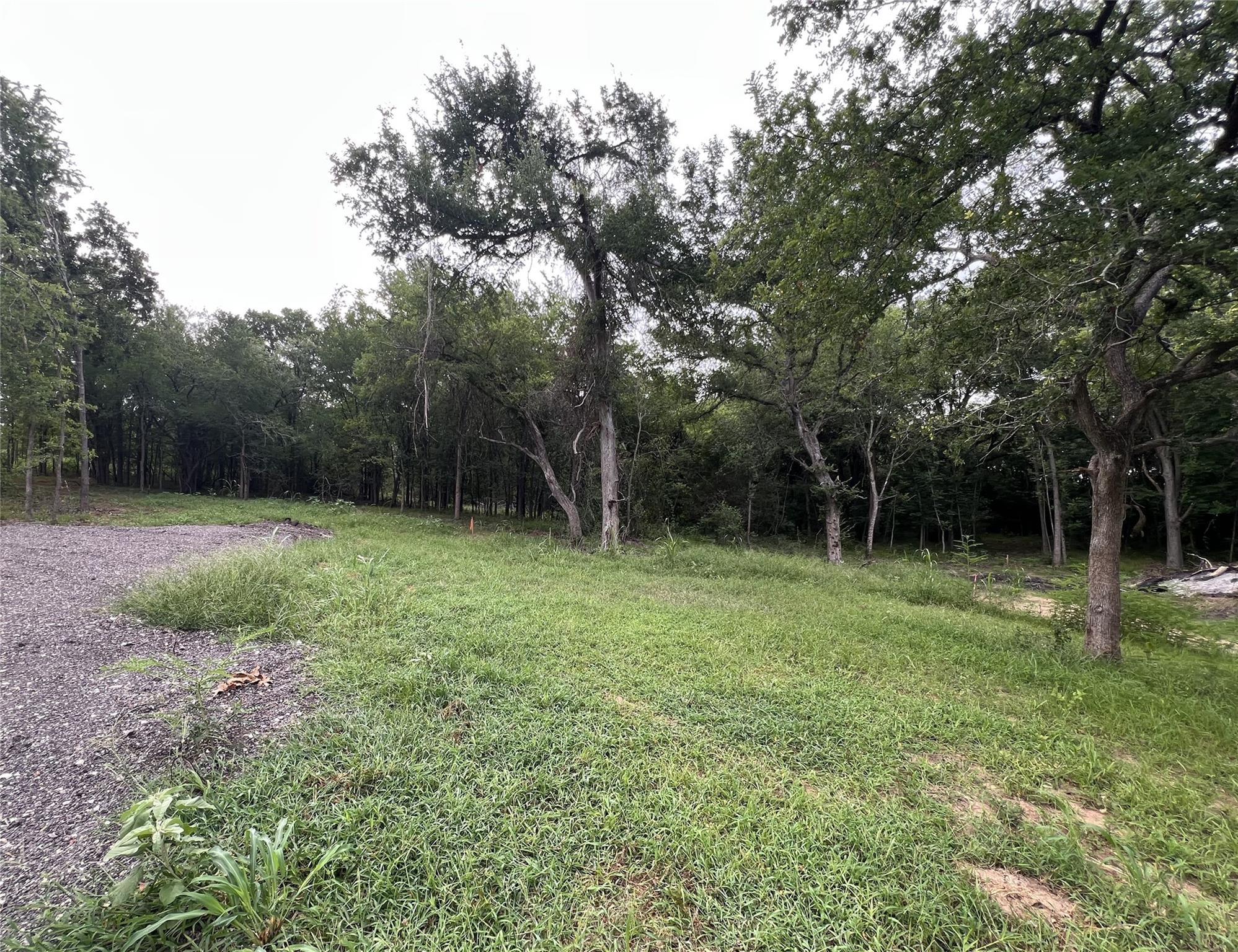 TBD FM 3000 Tract 1, Elgin, TX 78621 photo 5
