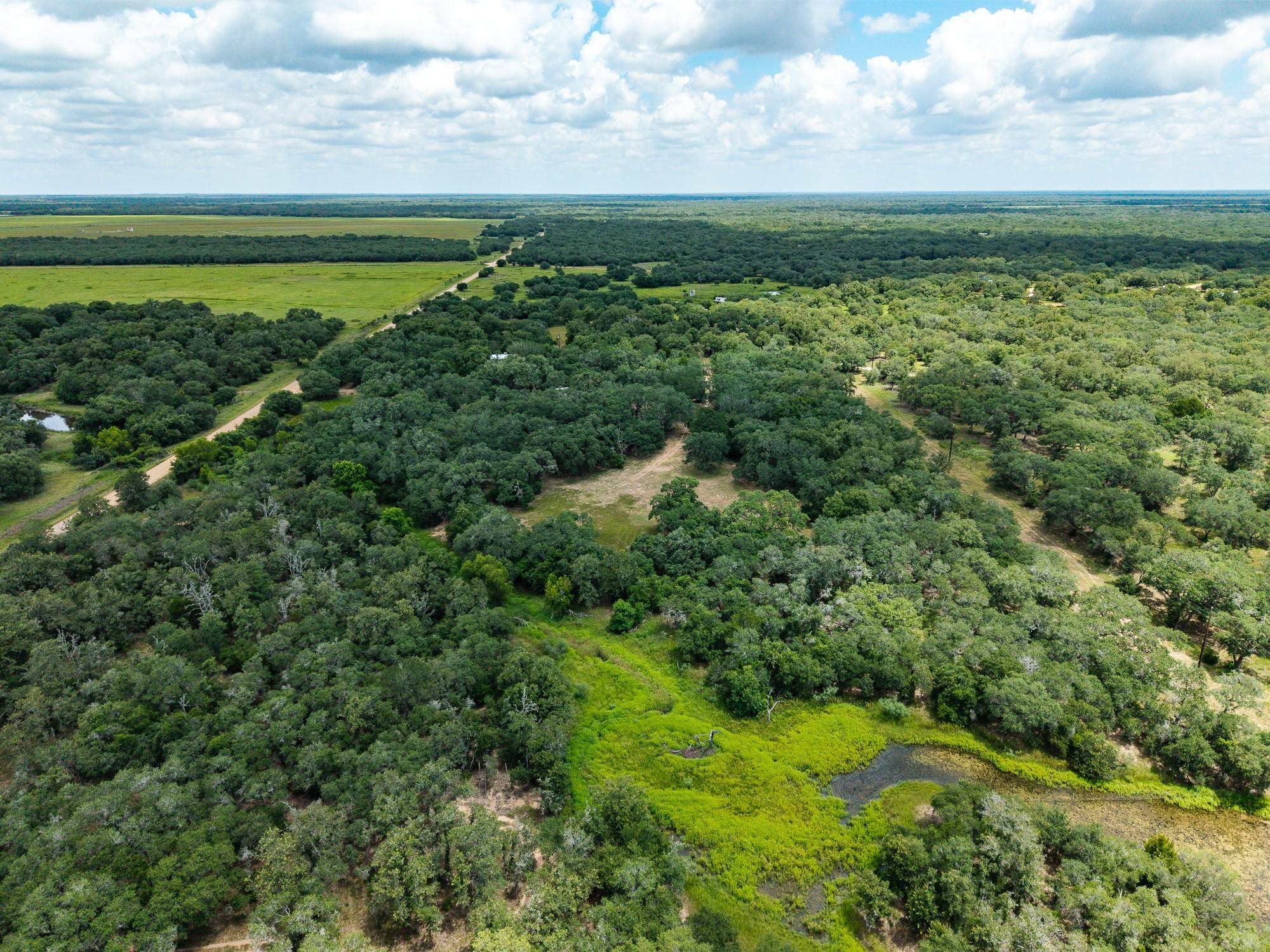 5641 County Road 14, Hallettsville, TX 77964 photo 5