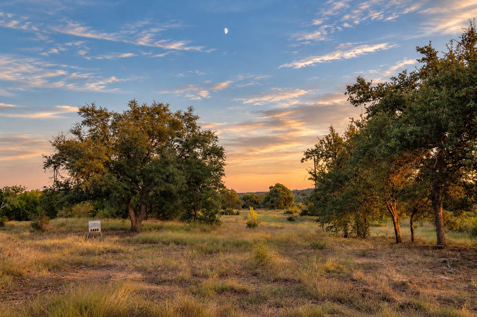 7275 Creek RD, Dripping Springs, TX 78620 photo 4