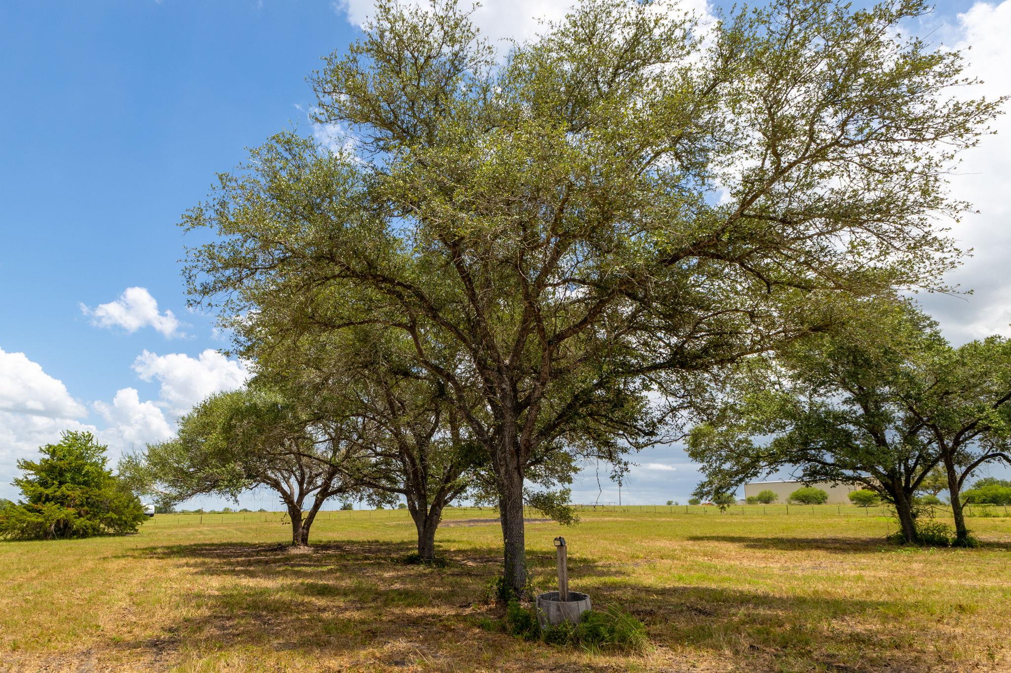 ABS A180 FAIRES W A, 6.167 ACRES,NO BLDGS OR M