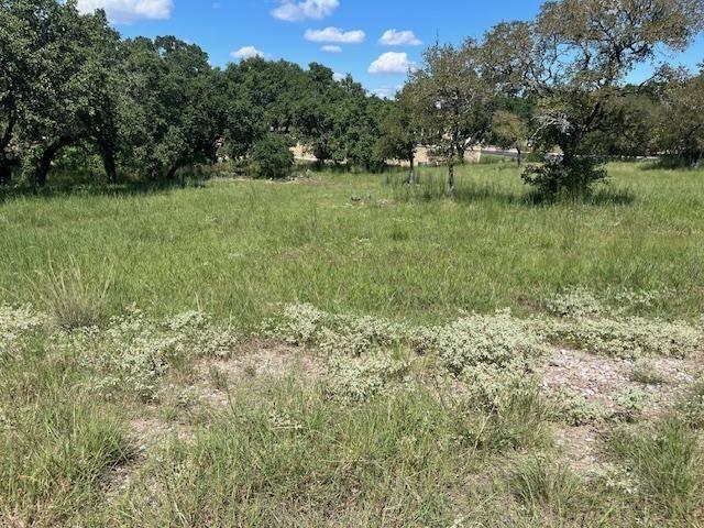 W1111 Blister Gold / Bay West BLVD, Horseshoe Bay, TX 78657 photo 5