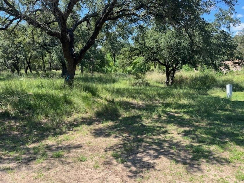 W1114 Blister Gold RD, Horseshoe Bay, TX 78657 photo 3