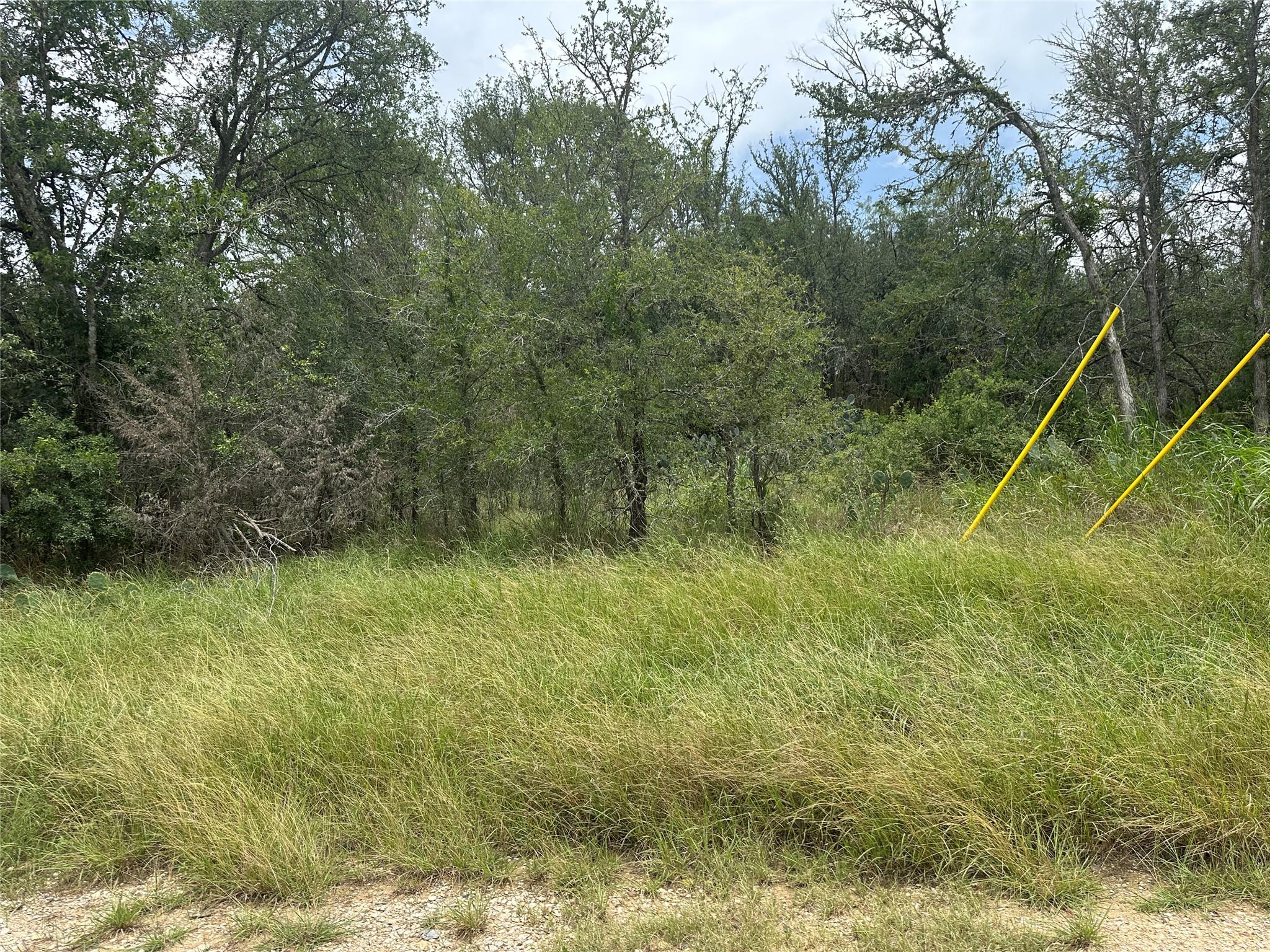 189 Puu Waa Waa LN, Bastrop, TX 78602 photo 2