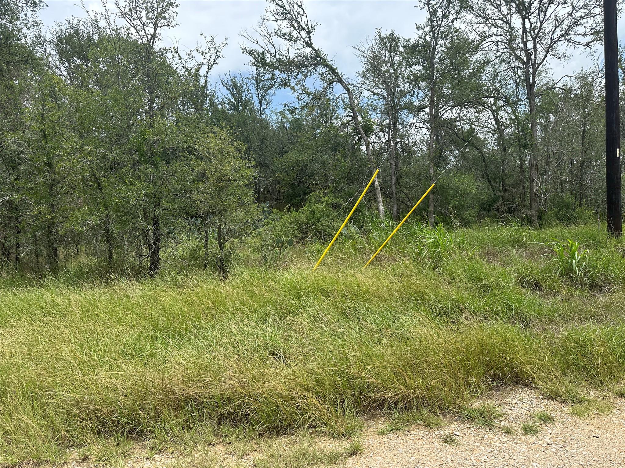 189 Puu Waa Waa LN, Bastrop, TX 78602 photo 3