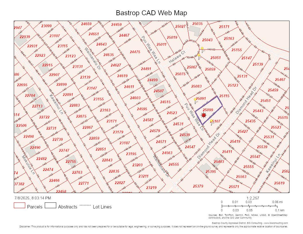 189 Puu Waa Waa LN, Bastrop, TX 78602 photo 5