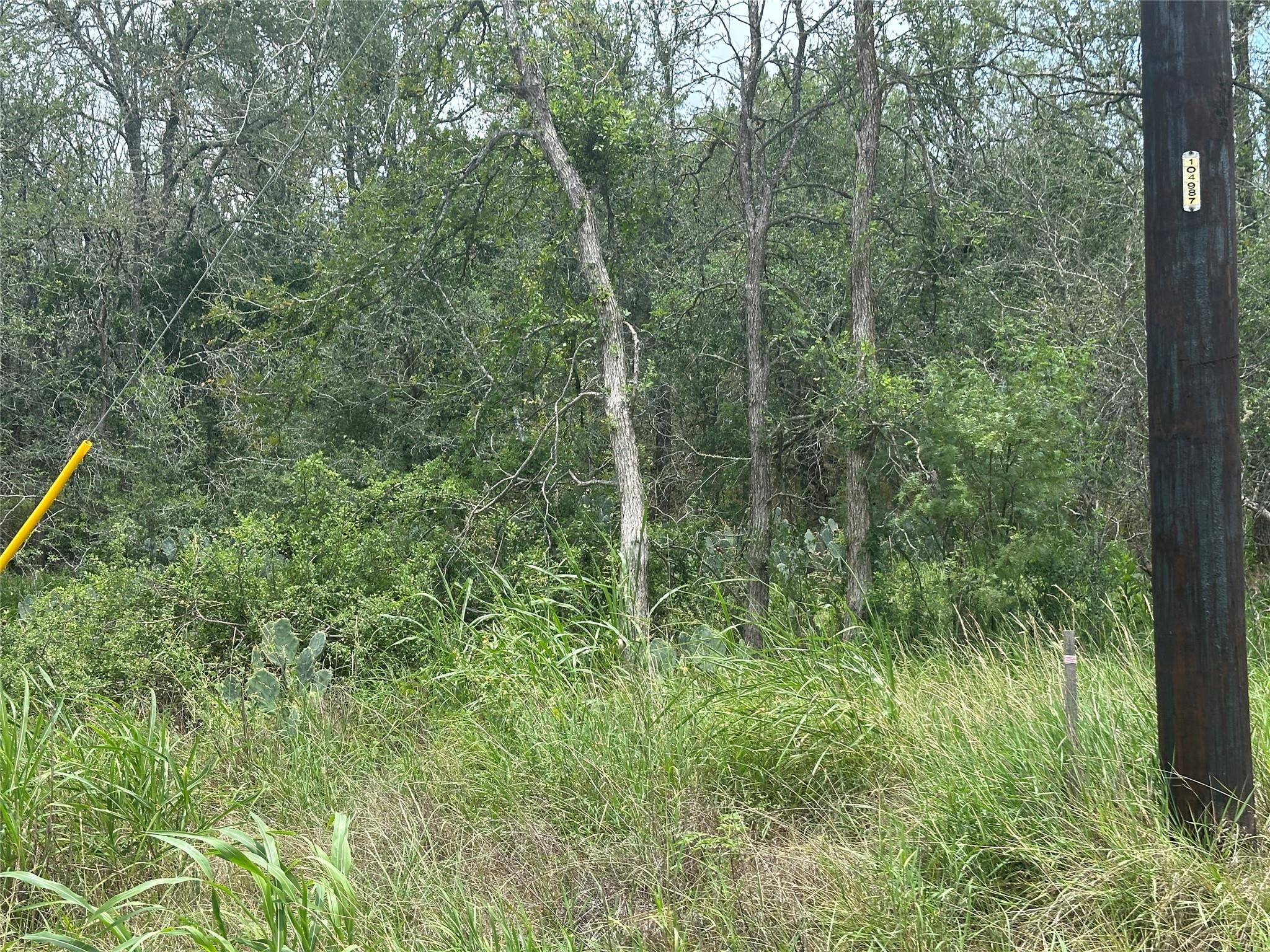189 Puu Waa Waa LN, Bastrop, TX 78602 photo 4