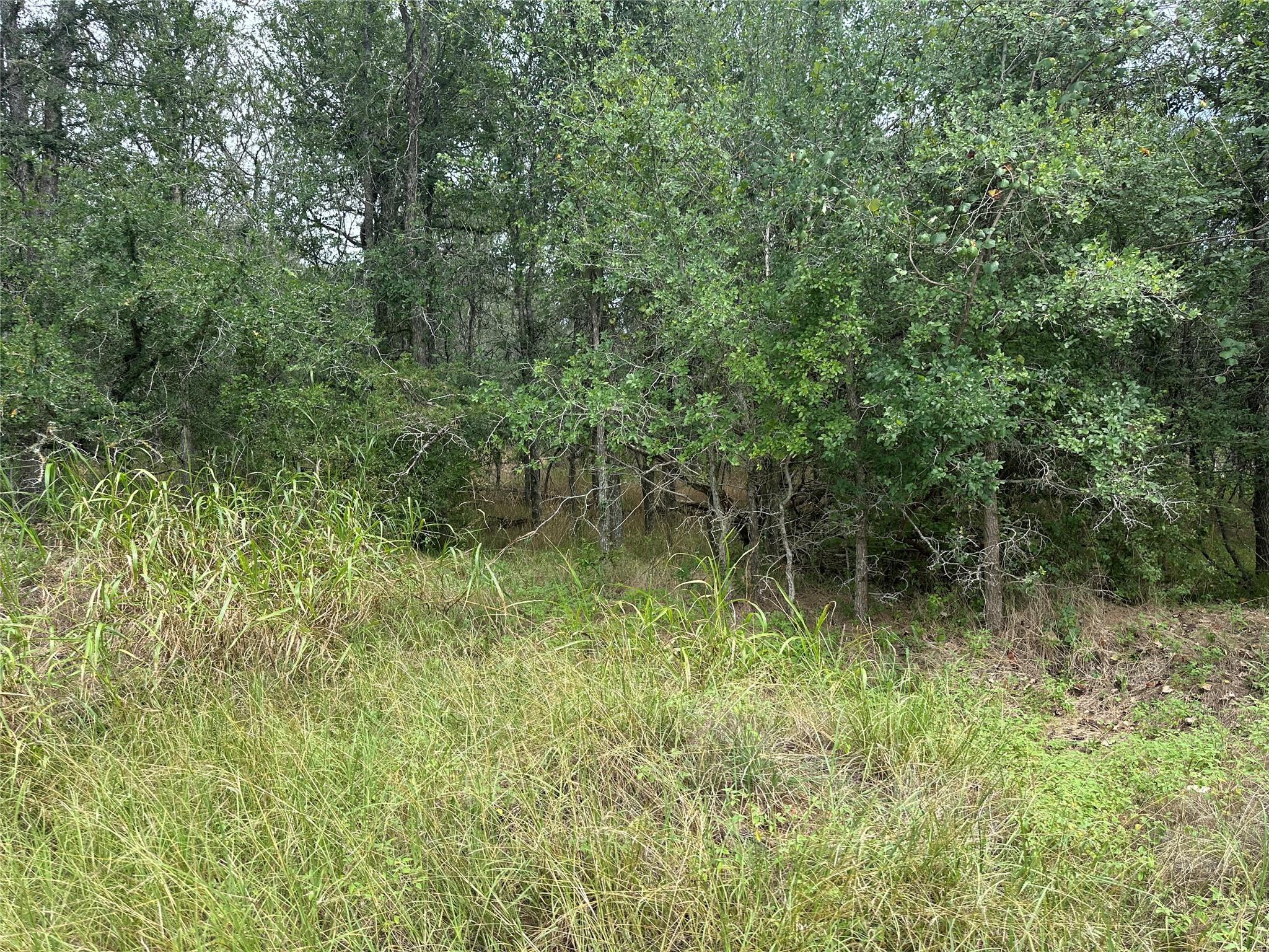 109 Halawa CT, Bastrop, TX 78602 photo 2