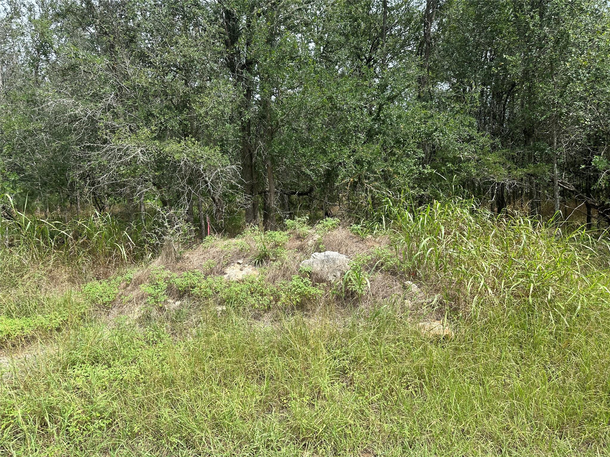 109 Halawa CT, Bastrop, TX 78602 photo 4