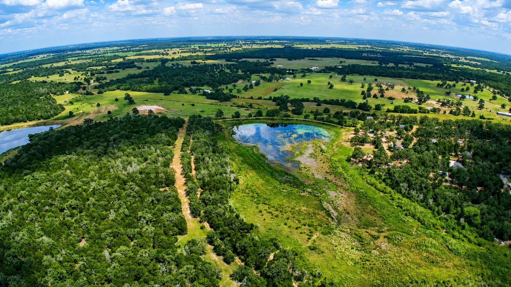 Lincoln Lake Est