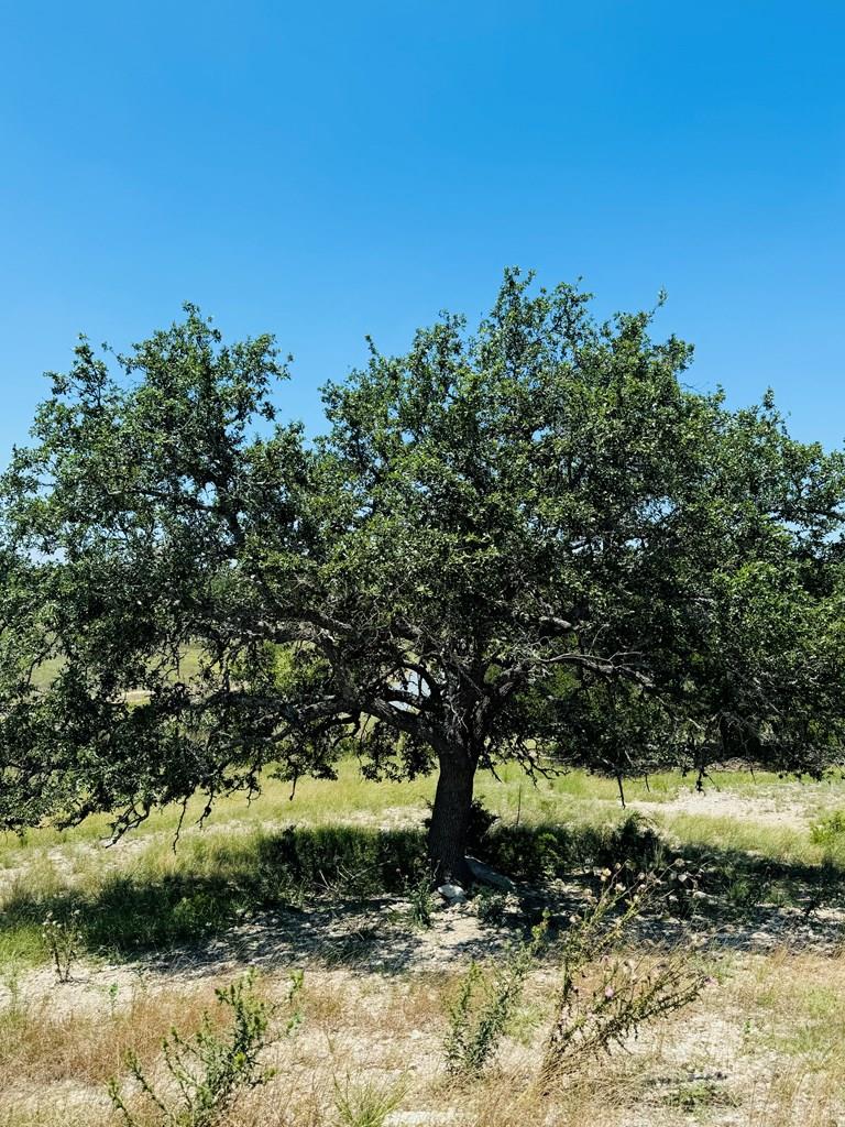 Lot 3 Oakwater DR, Fredericksburg, TX 78624 photo 3