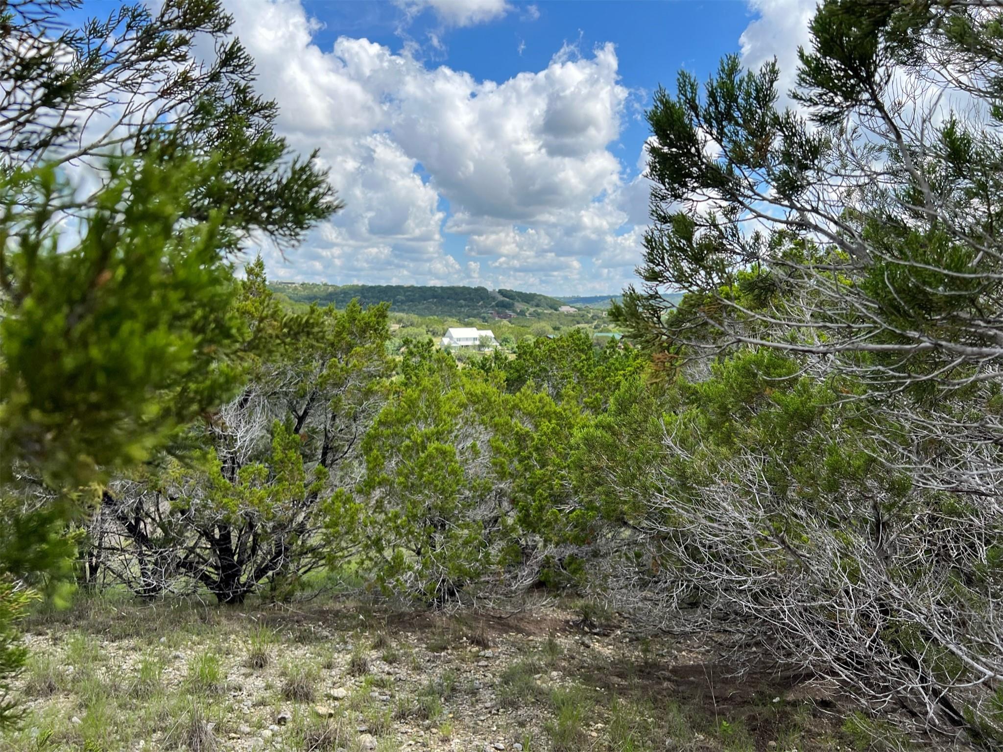 Lot 176-B Suncrest TRL, Bertram, TX 78605 photo 3