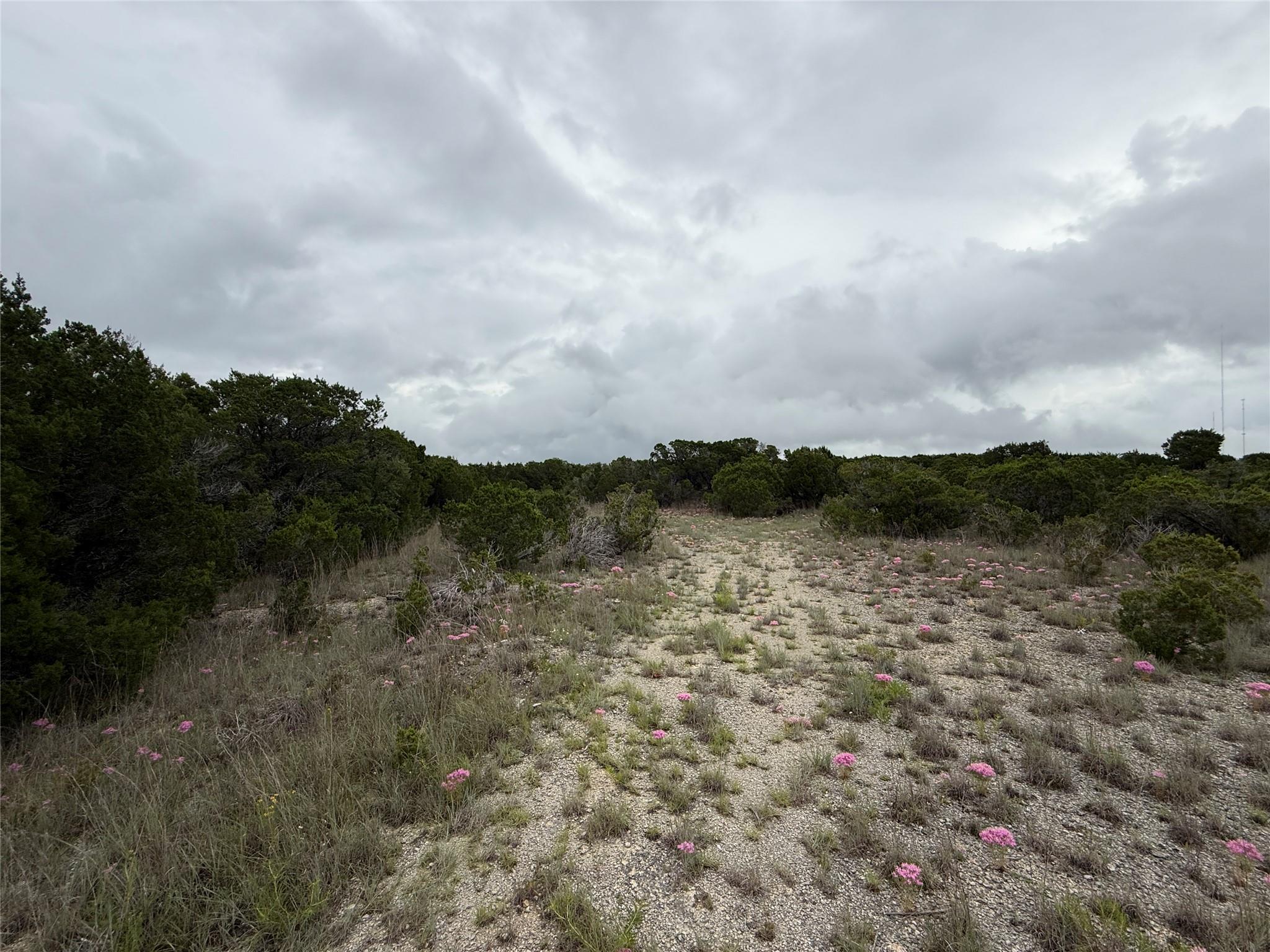 13272 - B Fm-2484, Salado, TX 76571 photo 5