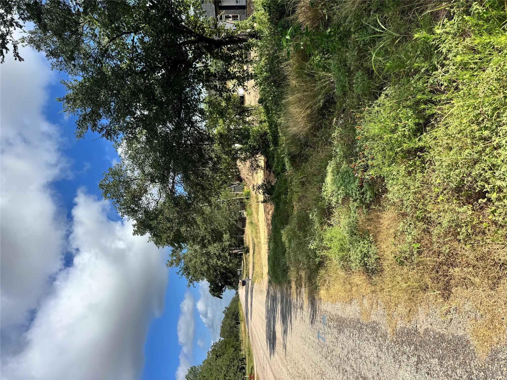 Tbd Union Chapel Rd, Cedar Creek, TX 78612 photo 5