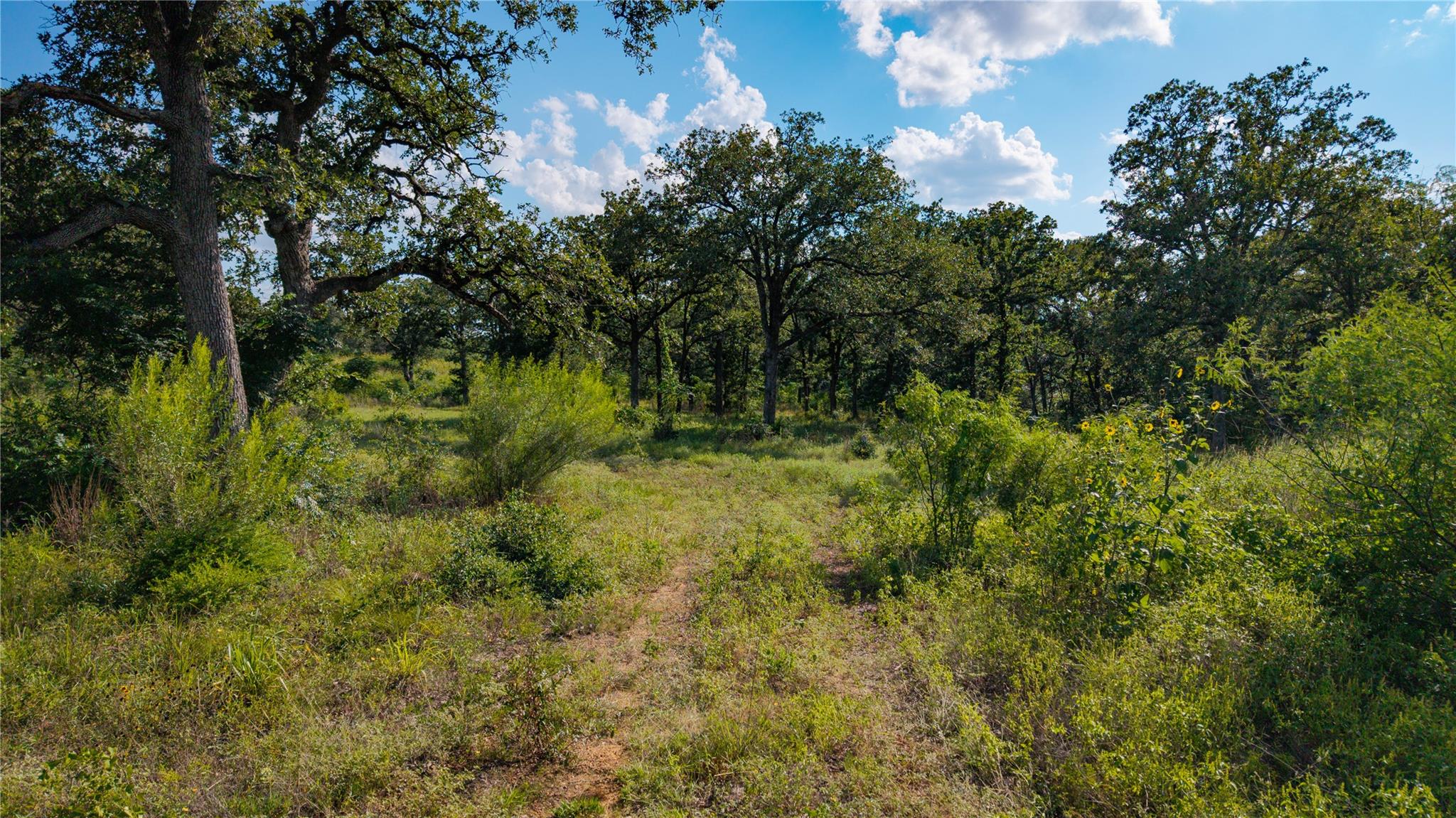 206 Sayers RD, Bastrop, TX 78602 photo 3