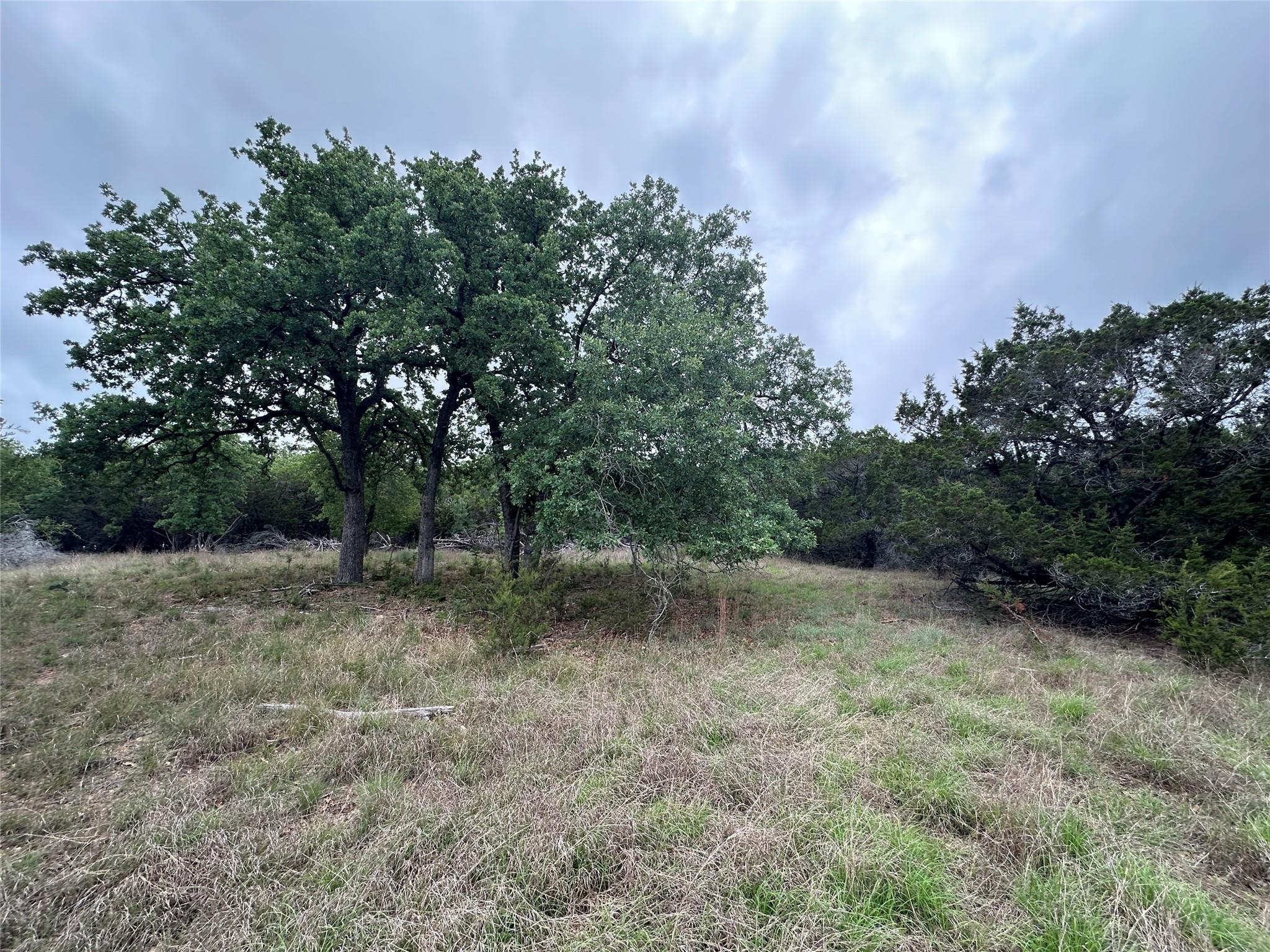 125 Hillcrest DR, Gatesville, TX 76528 photo 3